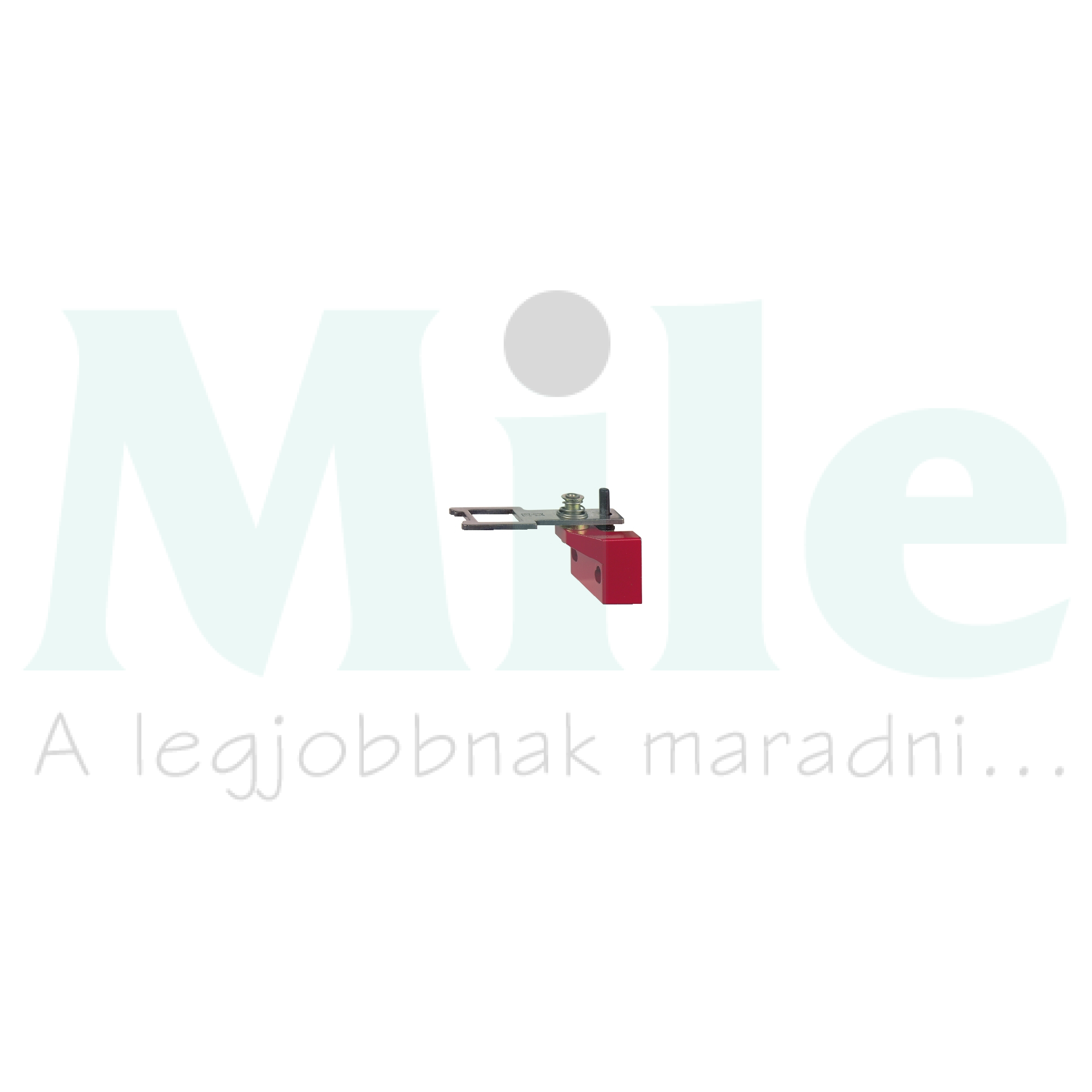 Működtetőkulcs biztonsági végálláskapcsolóhoz szabványos működtető