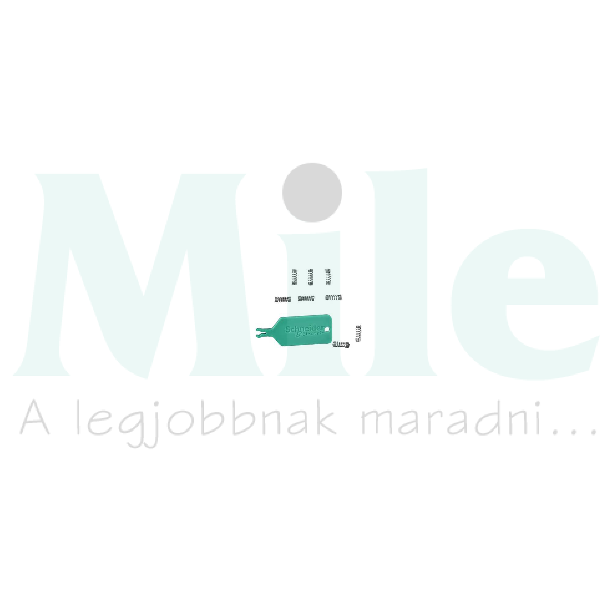 MurevaStyl adapter rugó készlet kapcsolókhoz (10 db)  Schneider