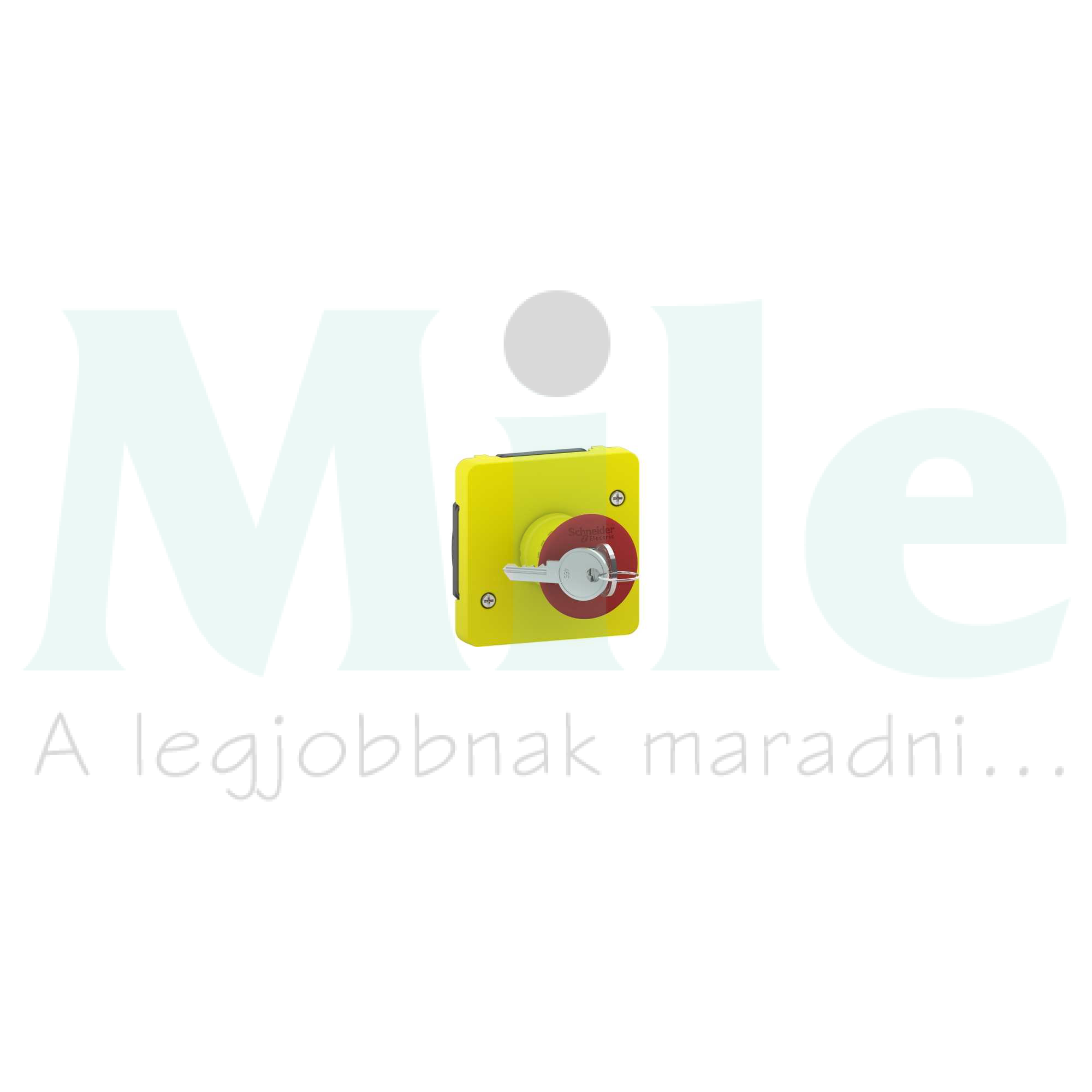 MurevaStyl vészgomba-nyomó komplett komplett falonkívüli kulcsos nyugtázás csavaros Schneider