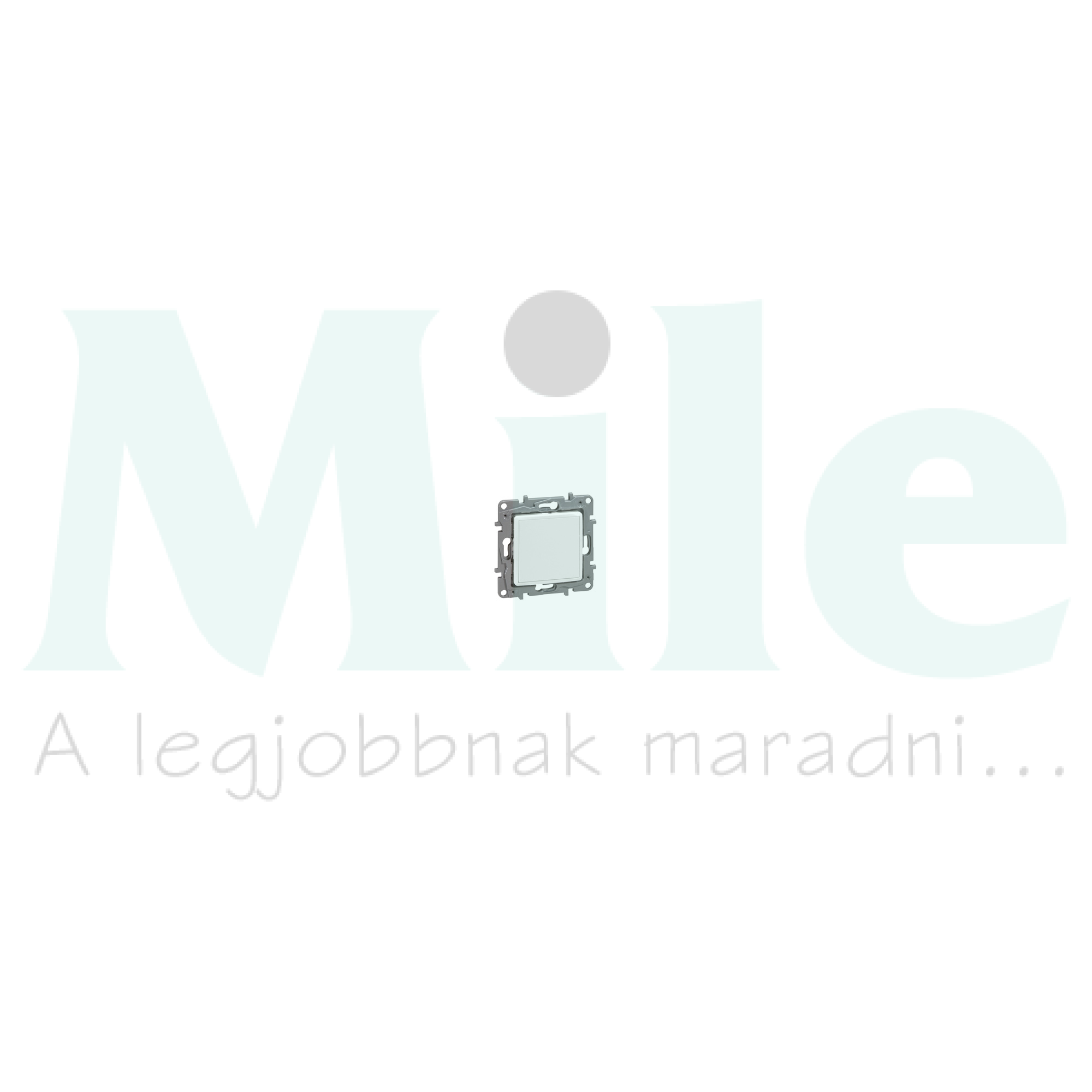 Niloé/Mosaic adapter fehér  LEGRAND