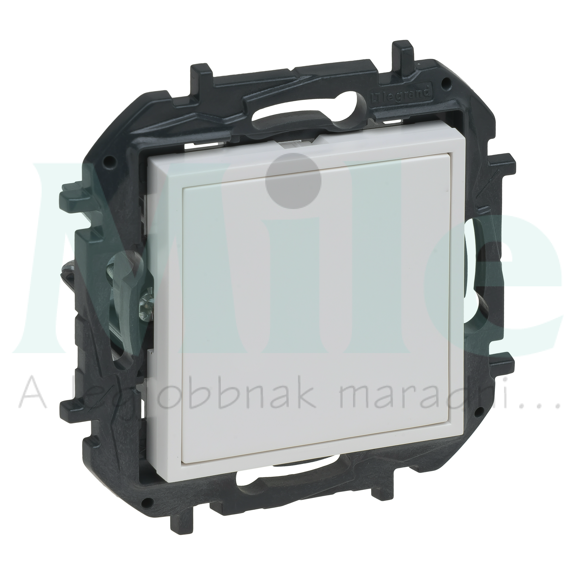 Niloé Step vakfedél, fehér