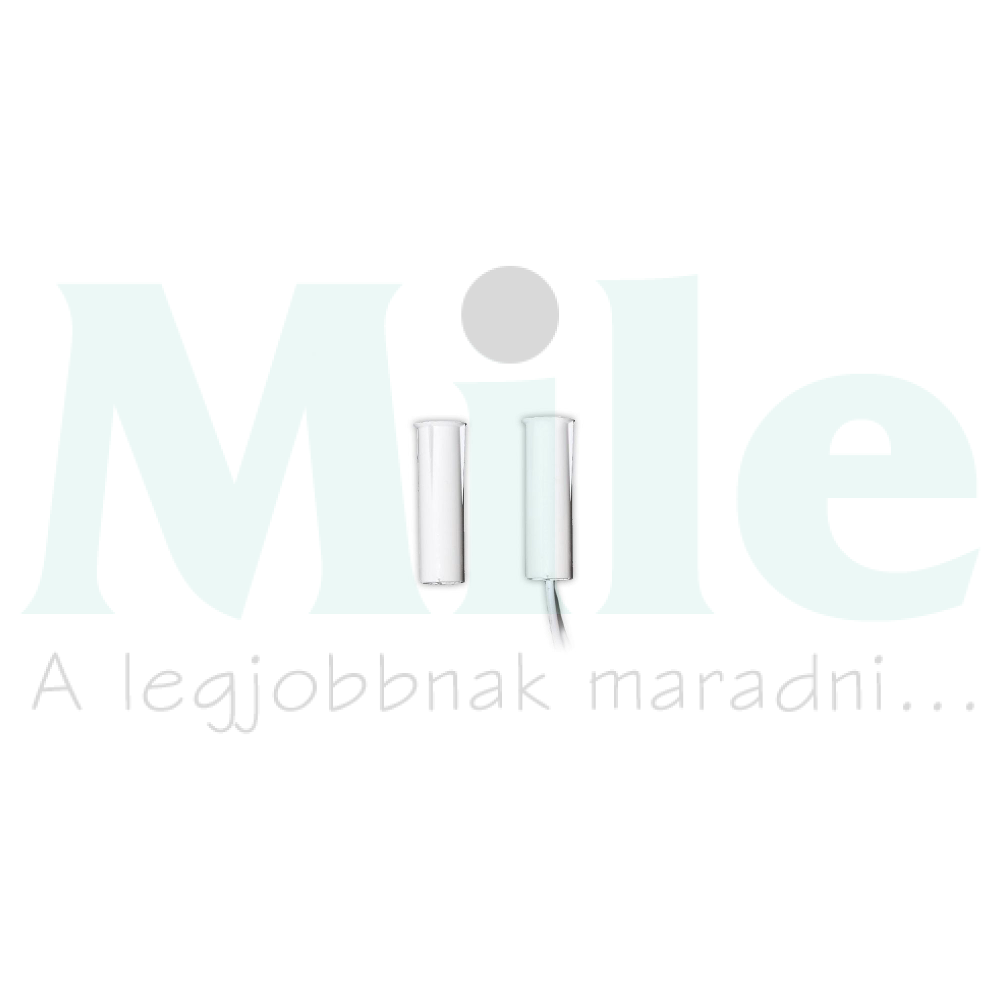 Nyitásérzékelő (reed-relé) 2vez. befúrható 15mm kapcs.táv süllyesztett fehér TANE ALARM