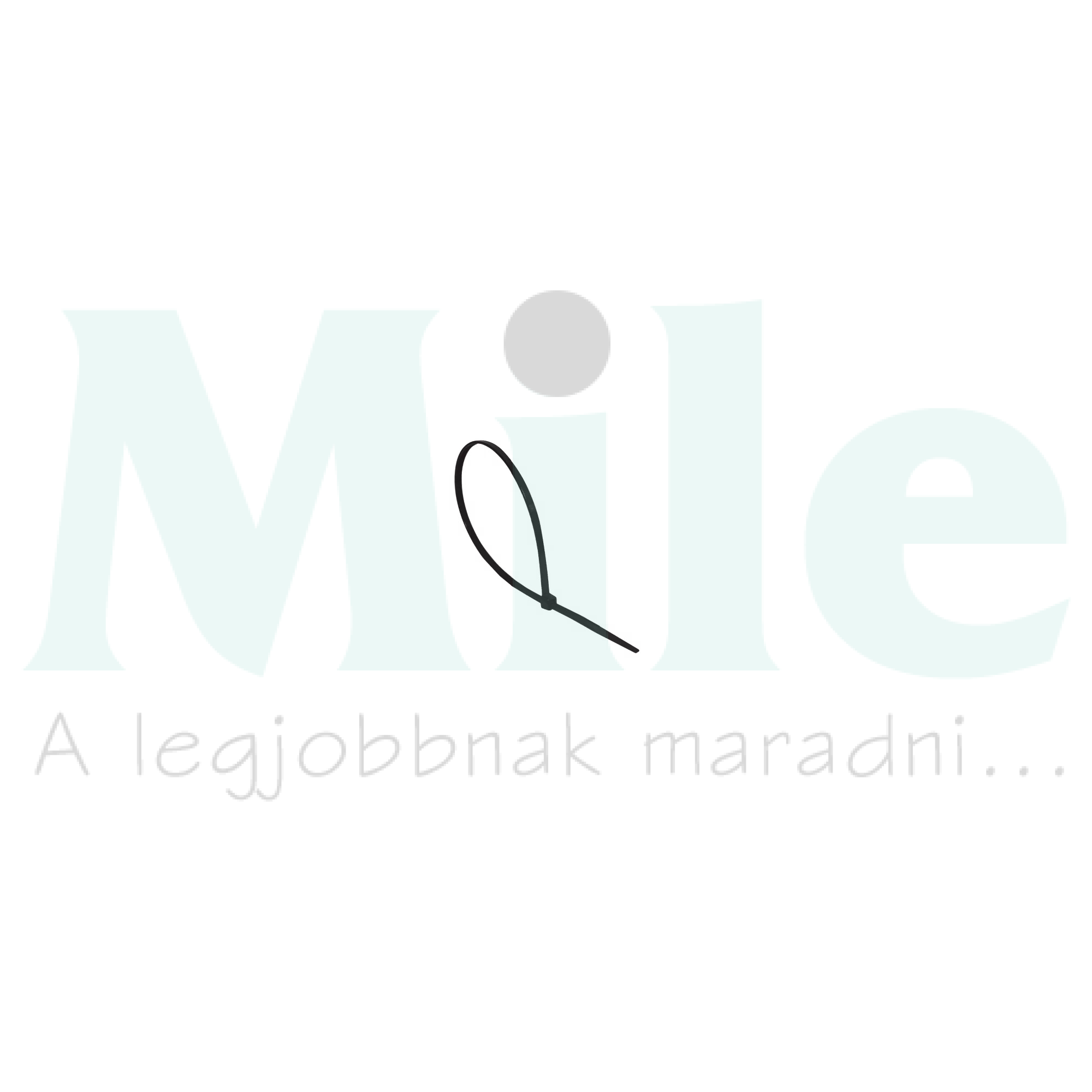 NYLON KÁBELKÖTEGELŐ 2,5X200 MM, NATÚR - 100 DB/CSOMAG CELO