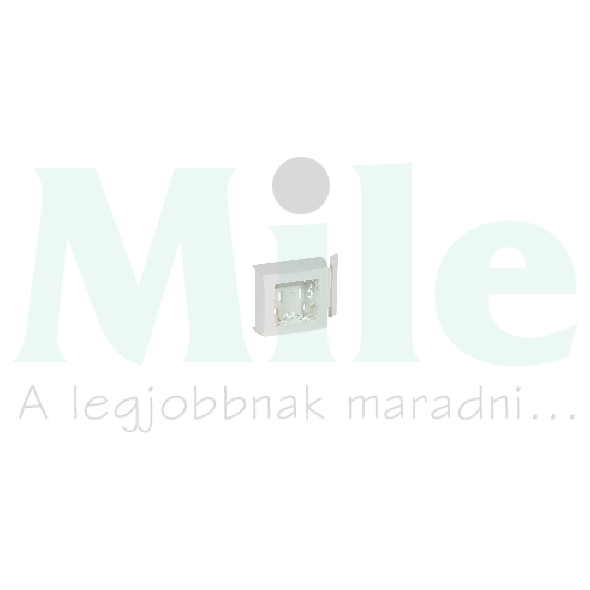 Oteo csatorna-szerelvénykeret 1-egység kezeletlen műanyag fényesfehér DLP mini LEGRAND