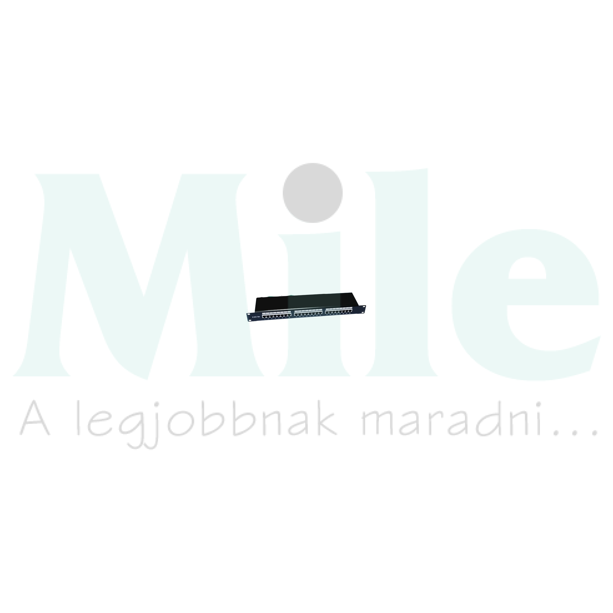 Patch panel FTP árnyékolt Cat5 RJ45 8(8) 24max. csatlakozószám LSA 482,6 mm (19