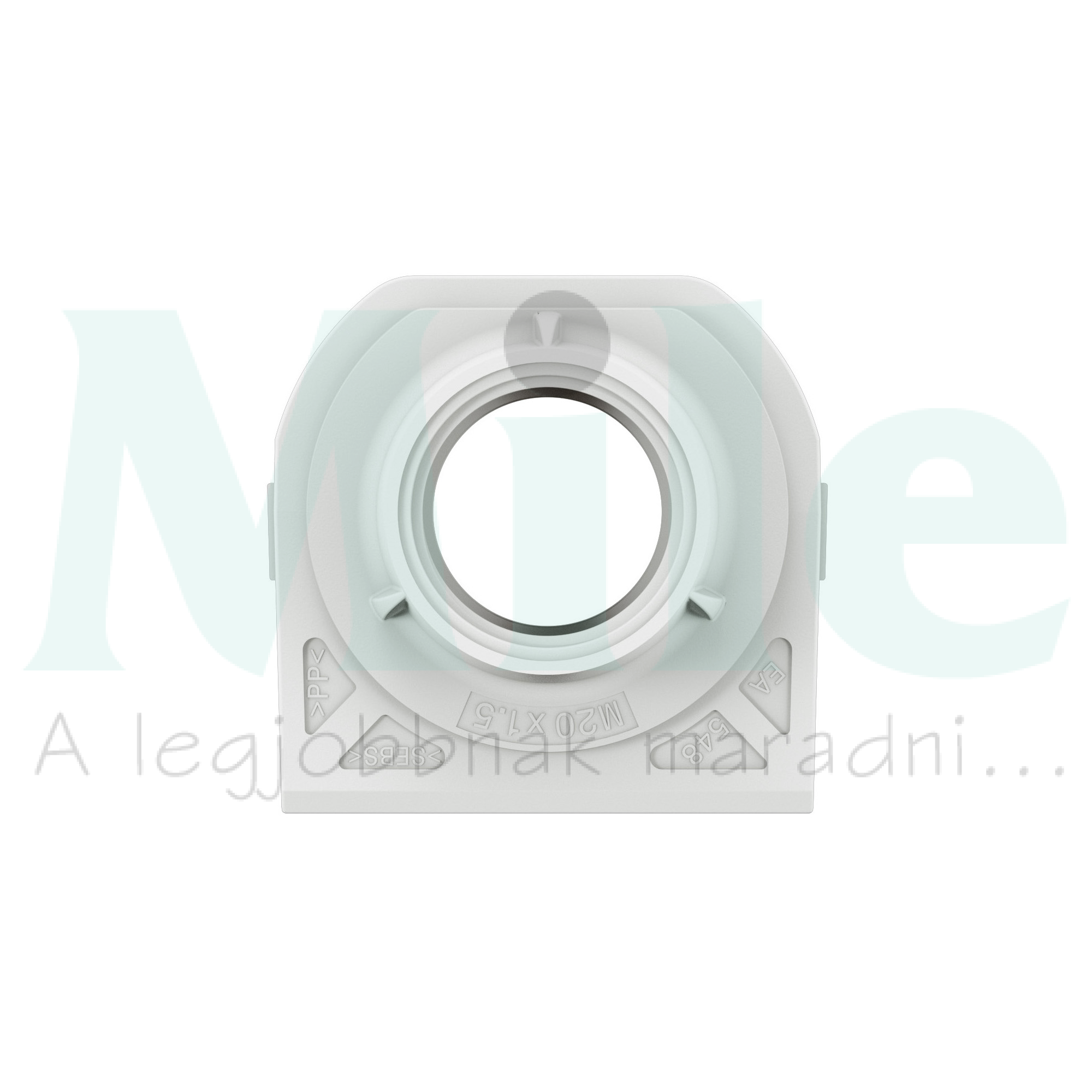 Plexo55 tömszelence M20 műanyag kezeletlen fehér LEGRAND