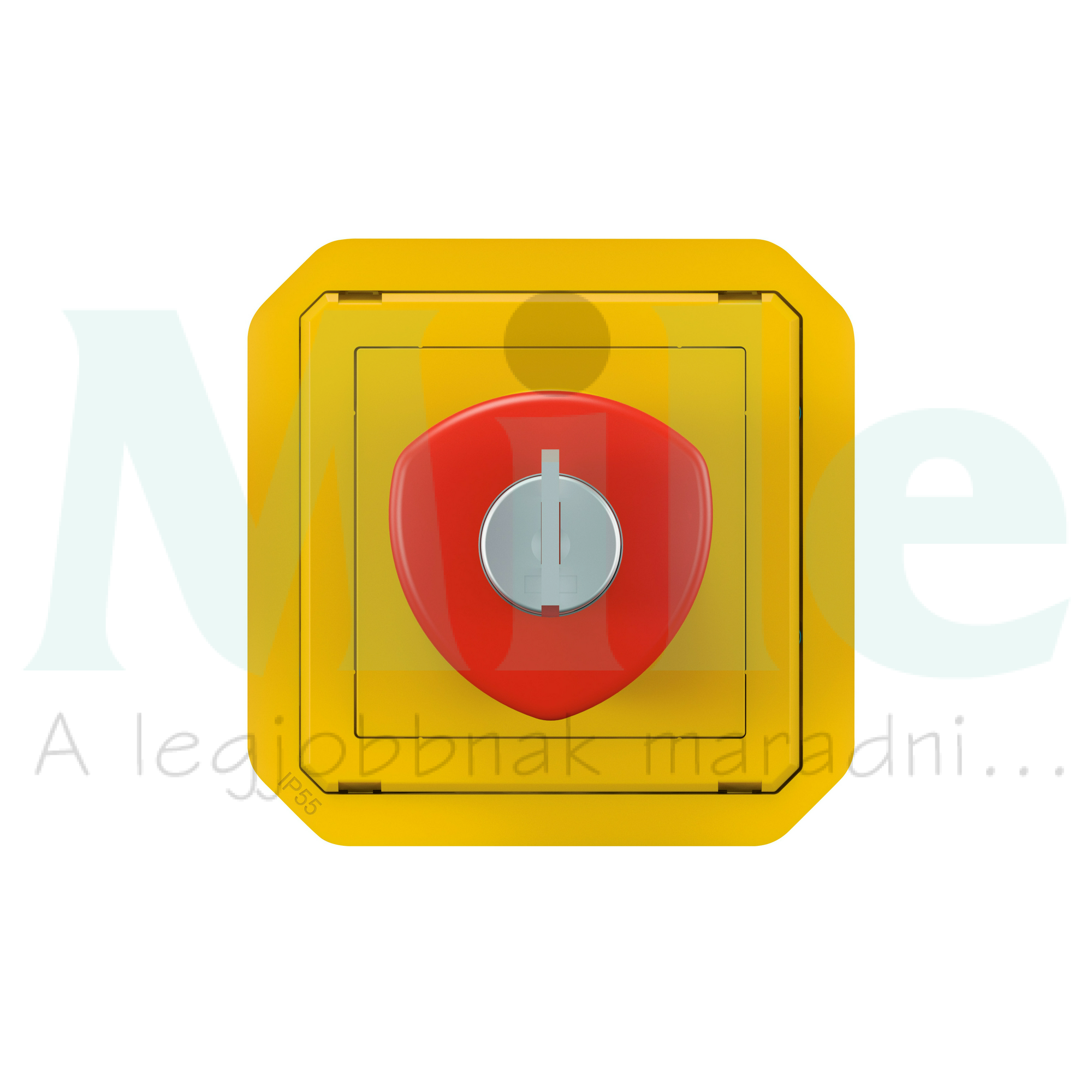 Plexo55 vészgomba nyomófej 1ny 1z piros reteszelt kulcs-nyugtázás LEGRAND