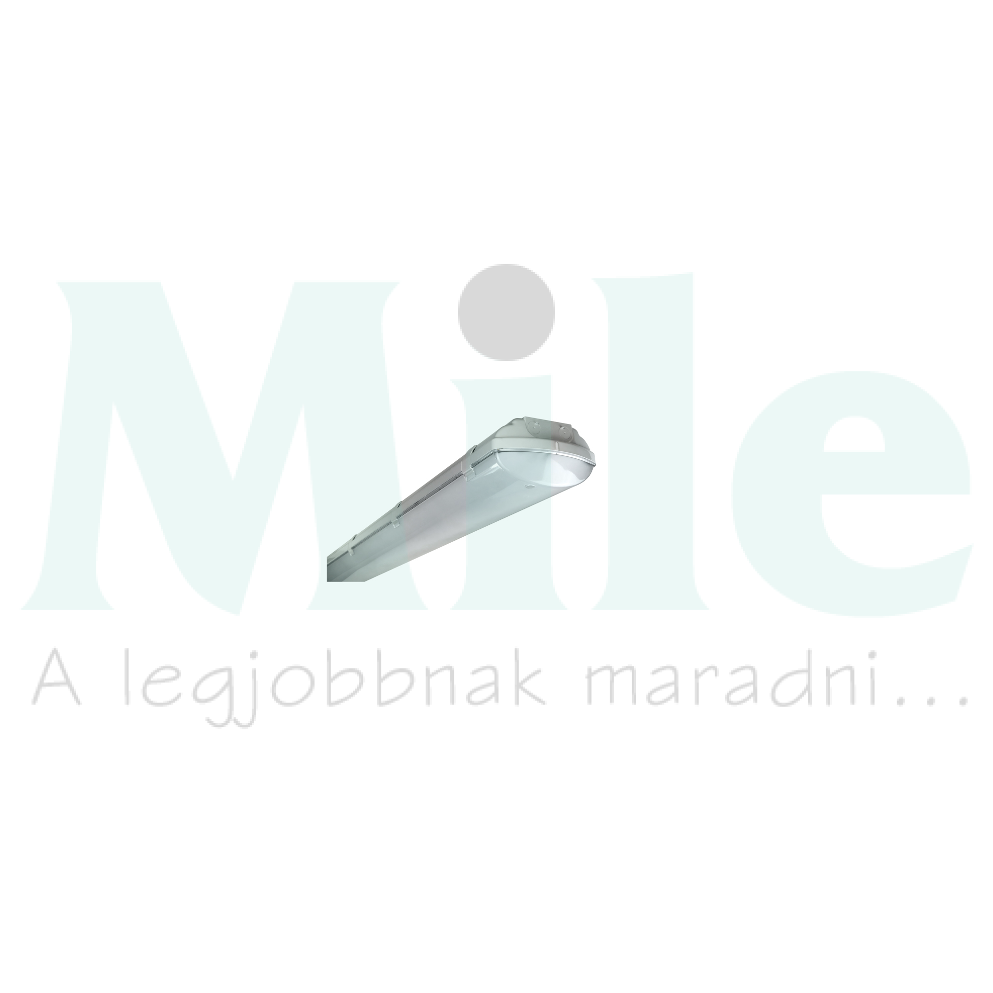 LED porpáramentes lámpatest 3080-5000lm falonkívüli 1x 19-34W 230V AC BS100 LED REG Beghelli