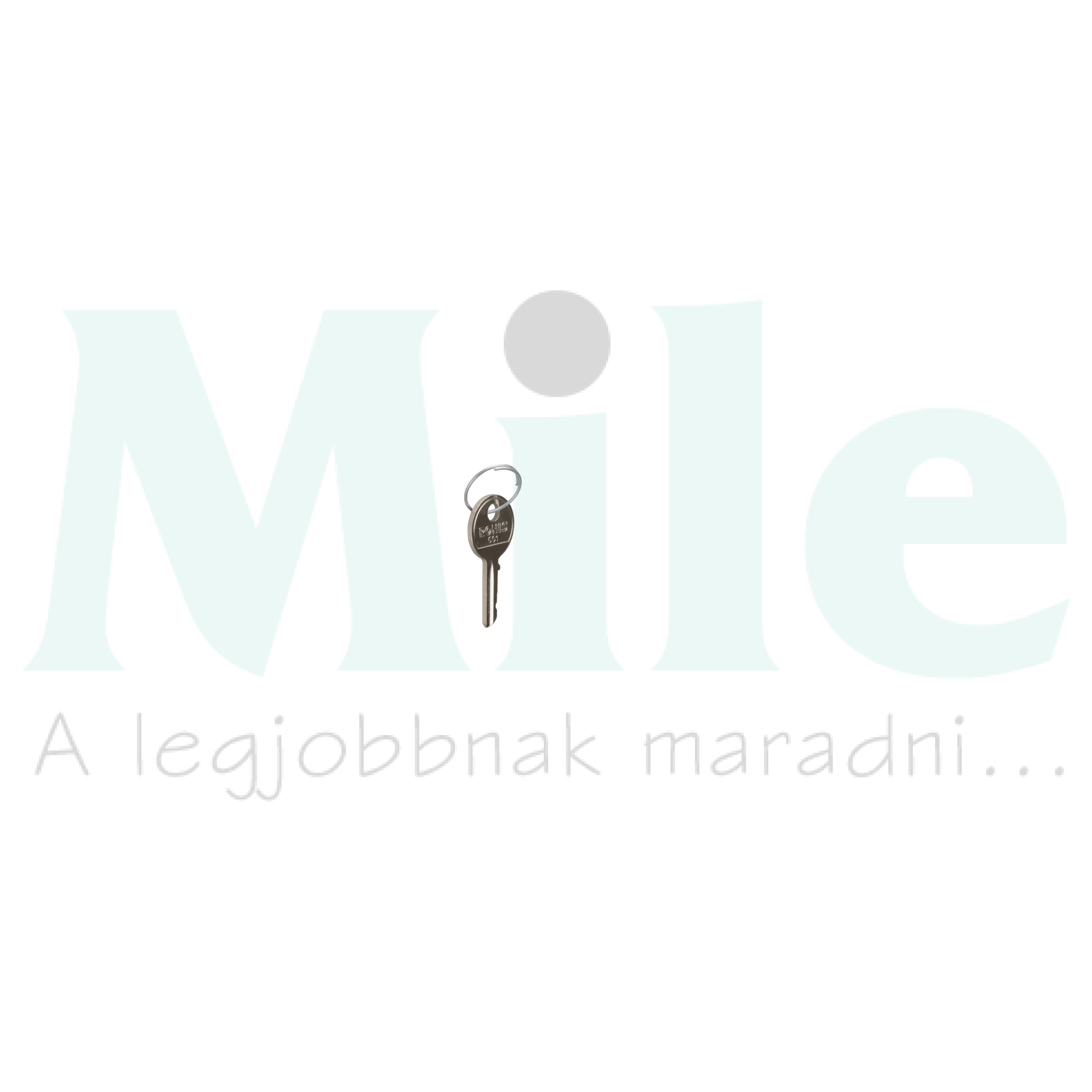 Pótkulcs SK606-kapcsolóhoz (2DB) hengeres SK Hager