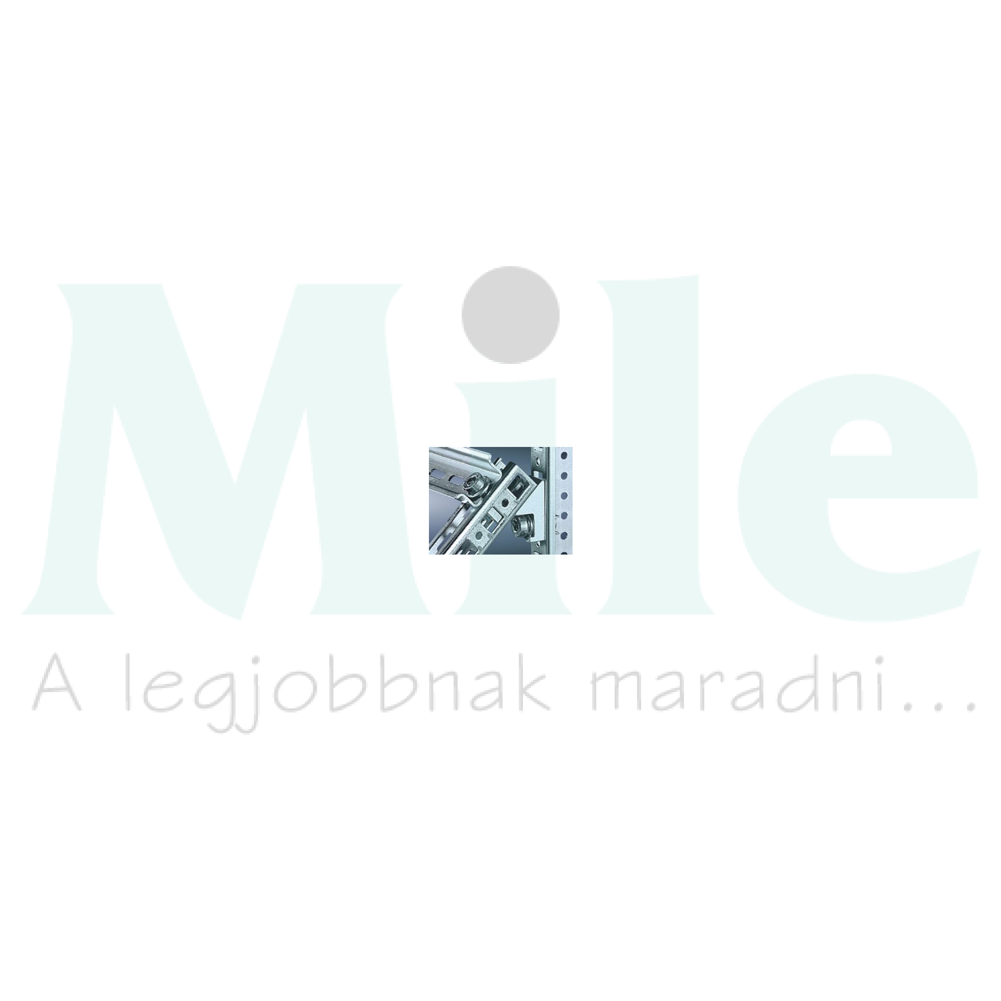 Rögzítőelem (12db) TS Rittal