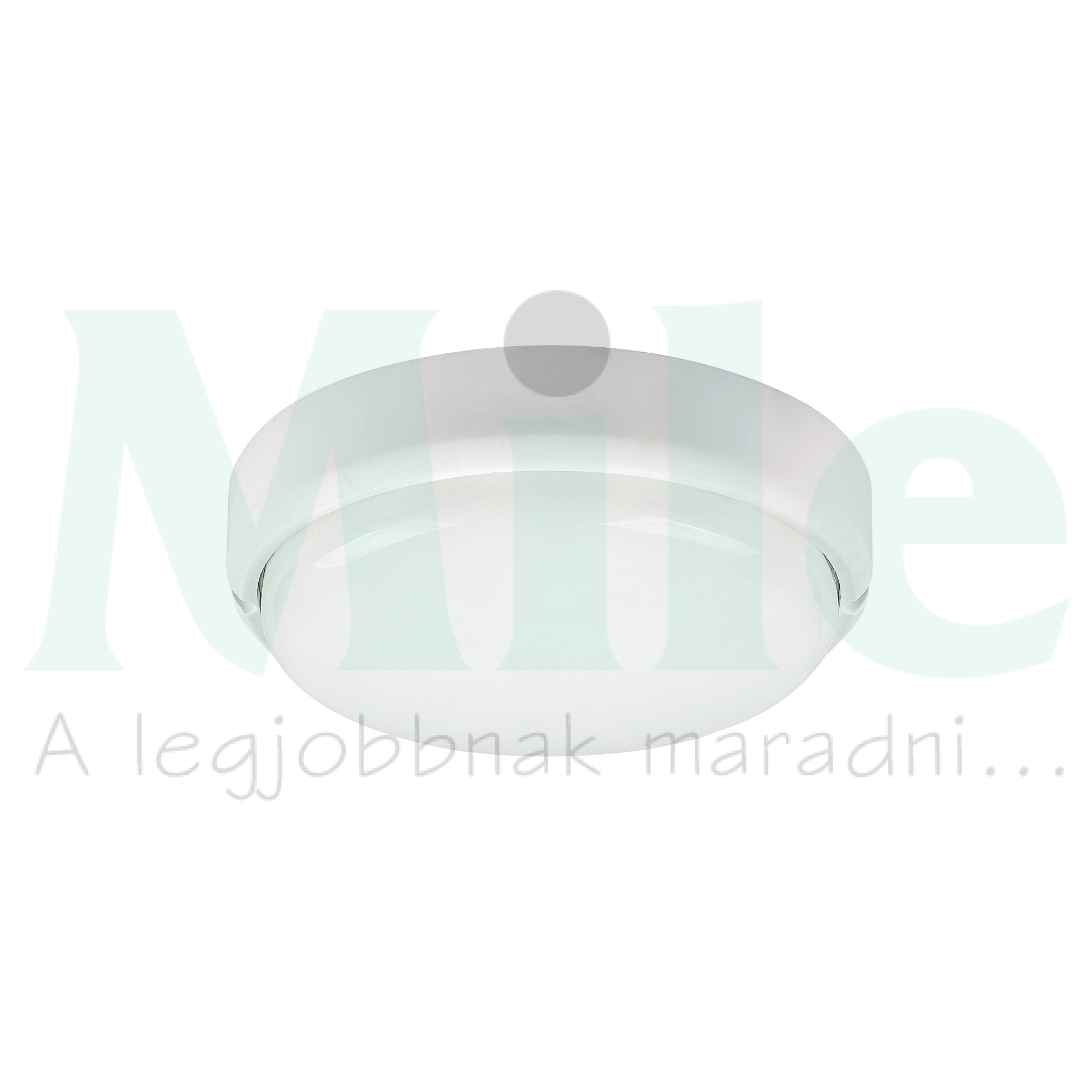 LED kültéri fali-mennyezeti lámpatest kerek falonkívüli 1x 15W 230V AC 1300lm 4000K IP54 20000h Hort RÁBALUX