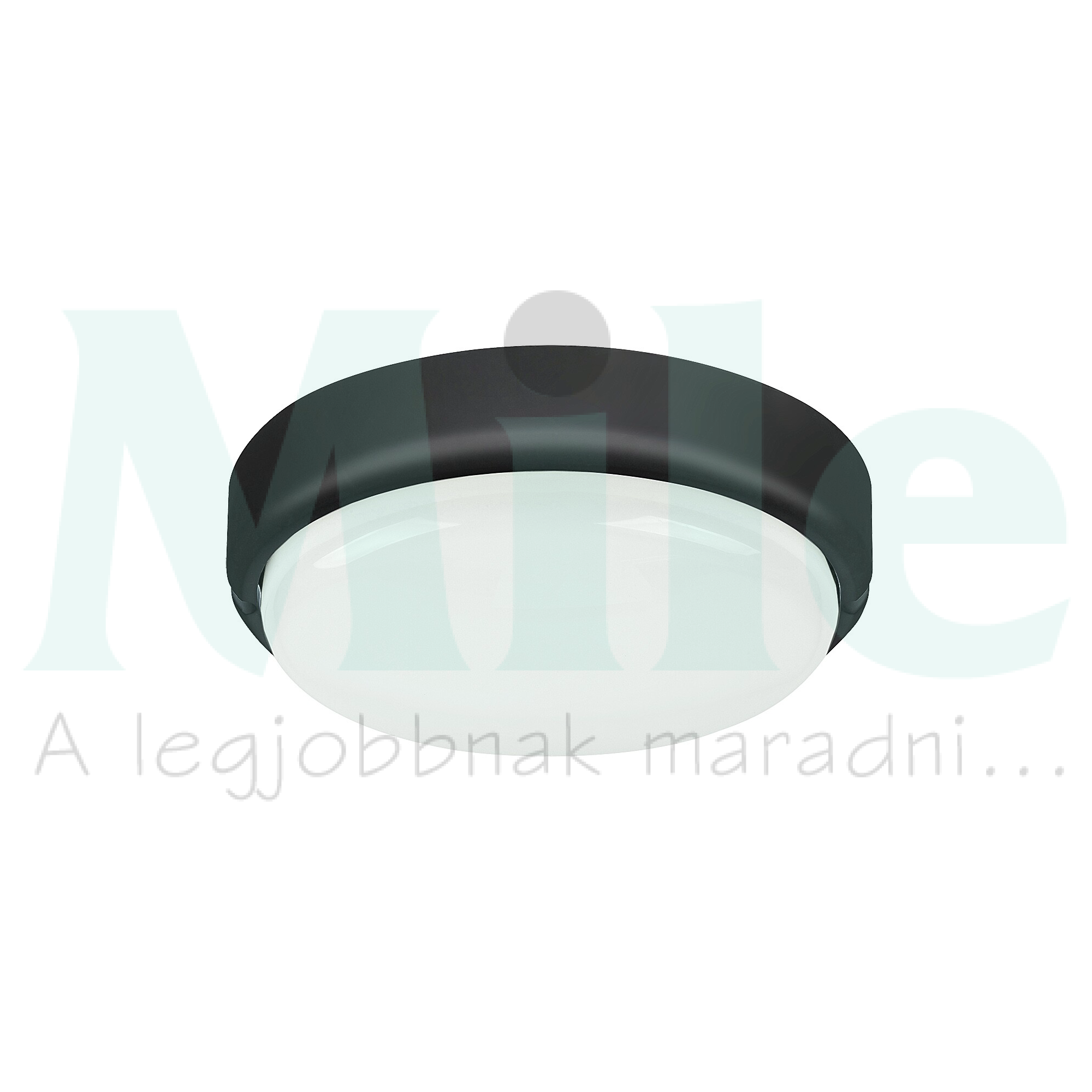 LED kültéri fali-mennyezeti lámpatest kerek falonkívüli 1x 15W 230V AC 1100lm 4000K IP54 20000h Hort RÁBALUX