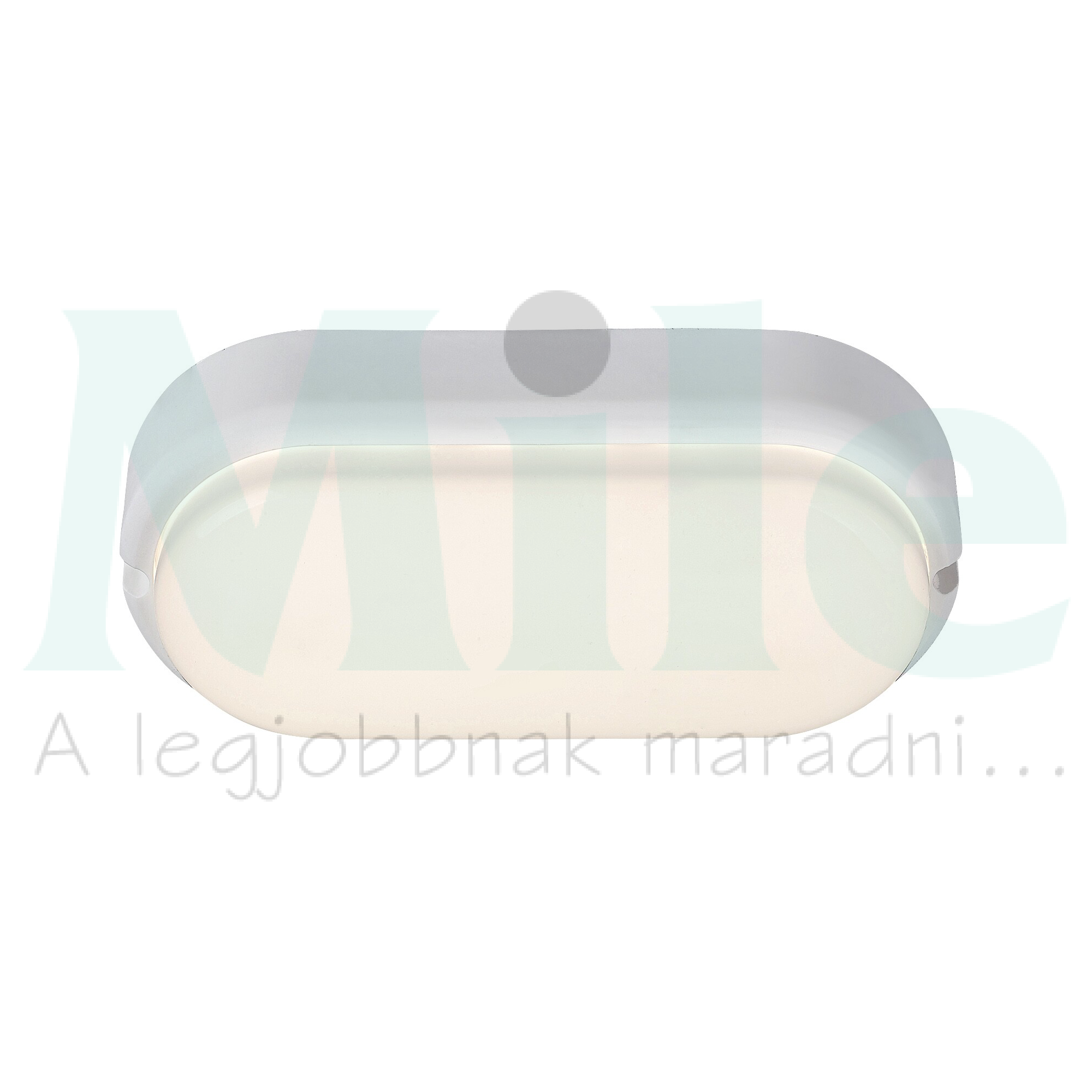 LED hajólámpa ovális falonkívüli 1x 15W 230V AC 1300lm 4000K IP54 20000h Hort RÁBALUX