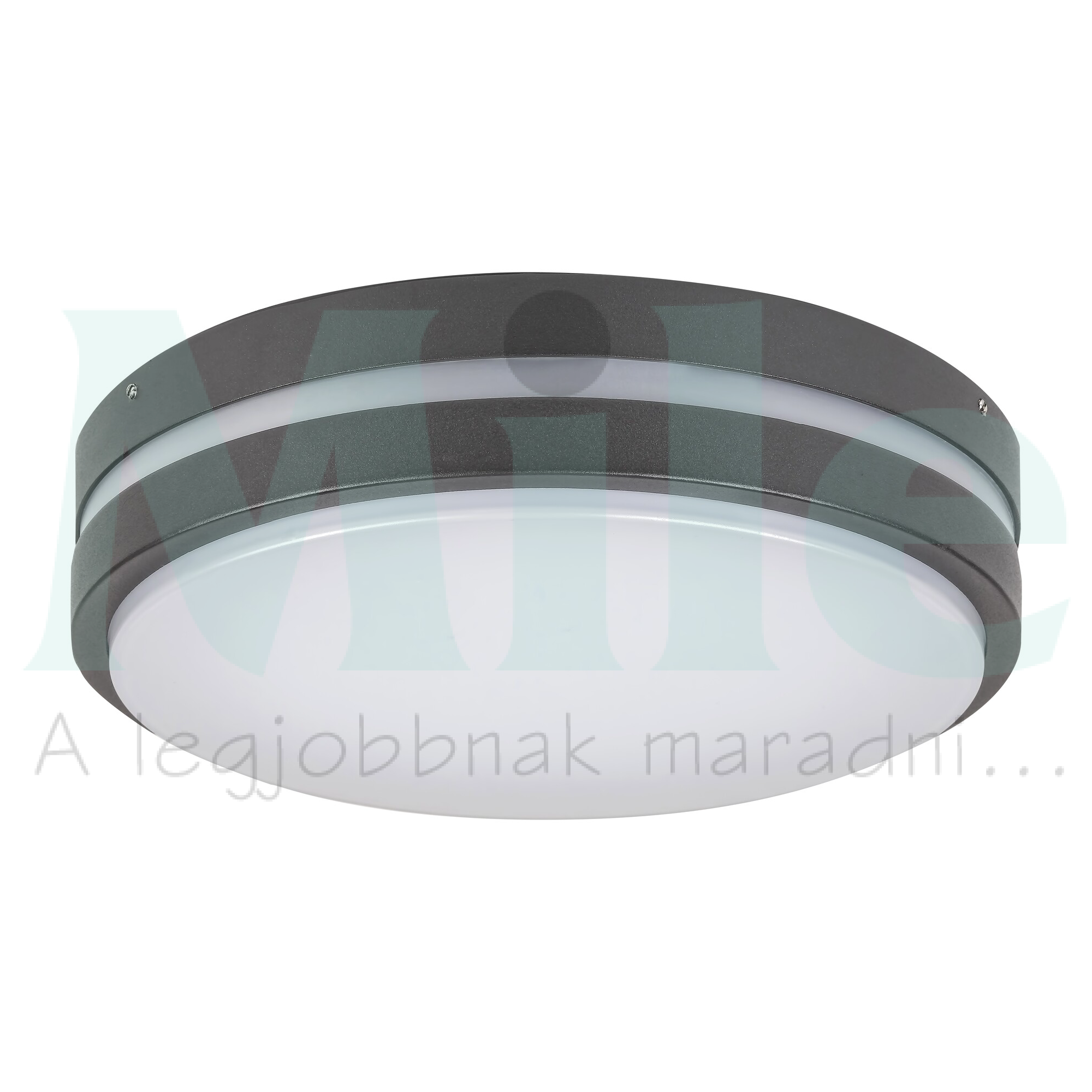 LED kültéri mennyezeti lámpatest kerek falonkívüli 1x 10W 230V AC 720lm 4000K IP44 30000h Hamburg RÁBALUX