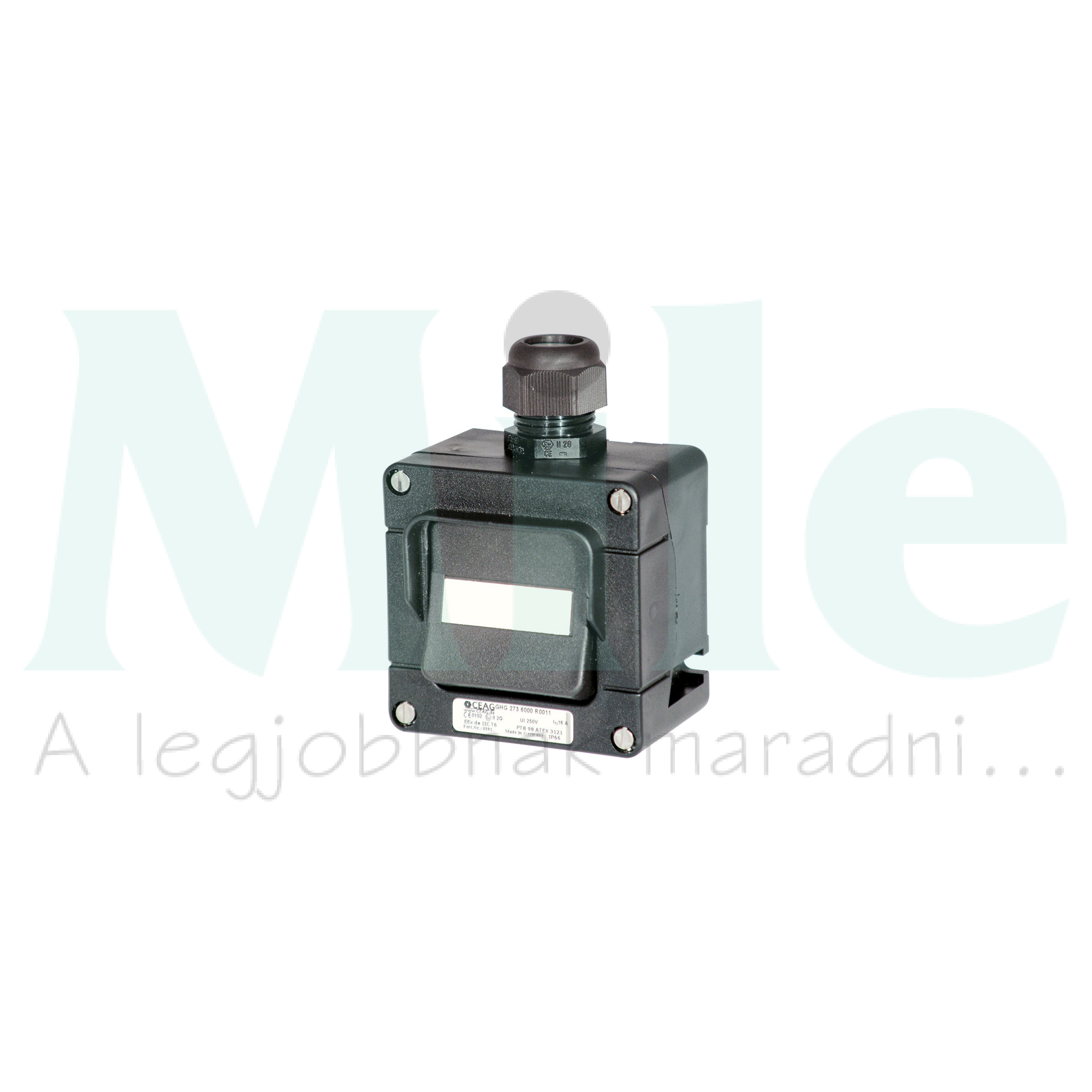 Rb tokozott kapcsoló 16A/250VAC IP66 2P Be-Ki kapcsoló műanyag 1, 2-zóna/gáz EATON