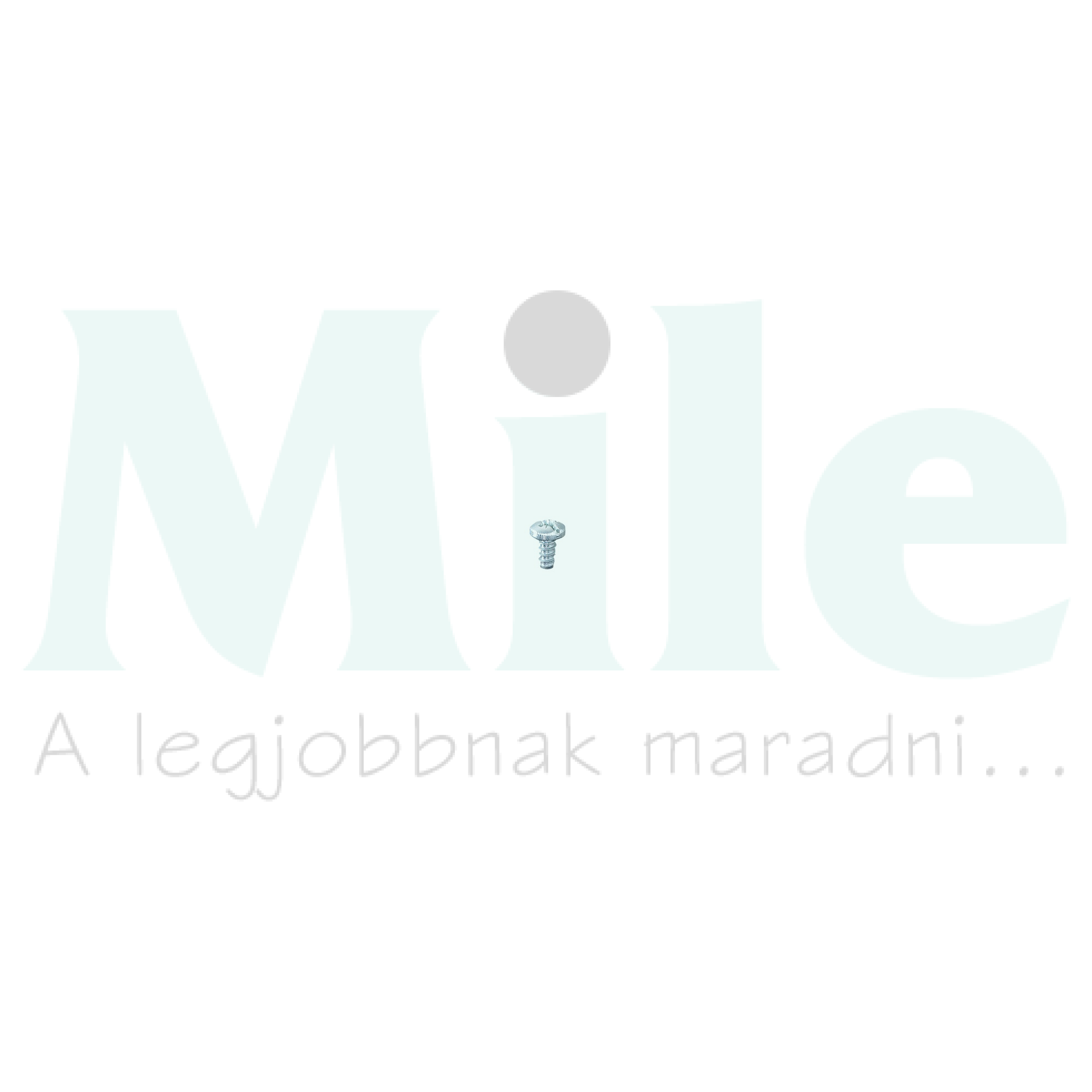 Rögzítőcsavar önmetsző 15,5x11 horganyzott Mi BZ 11 Hensel