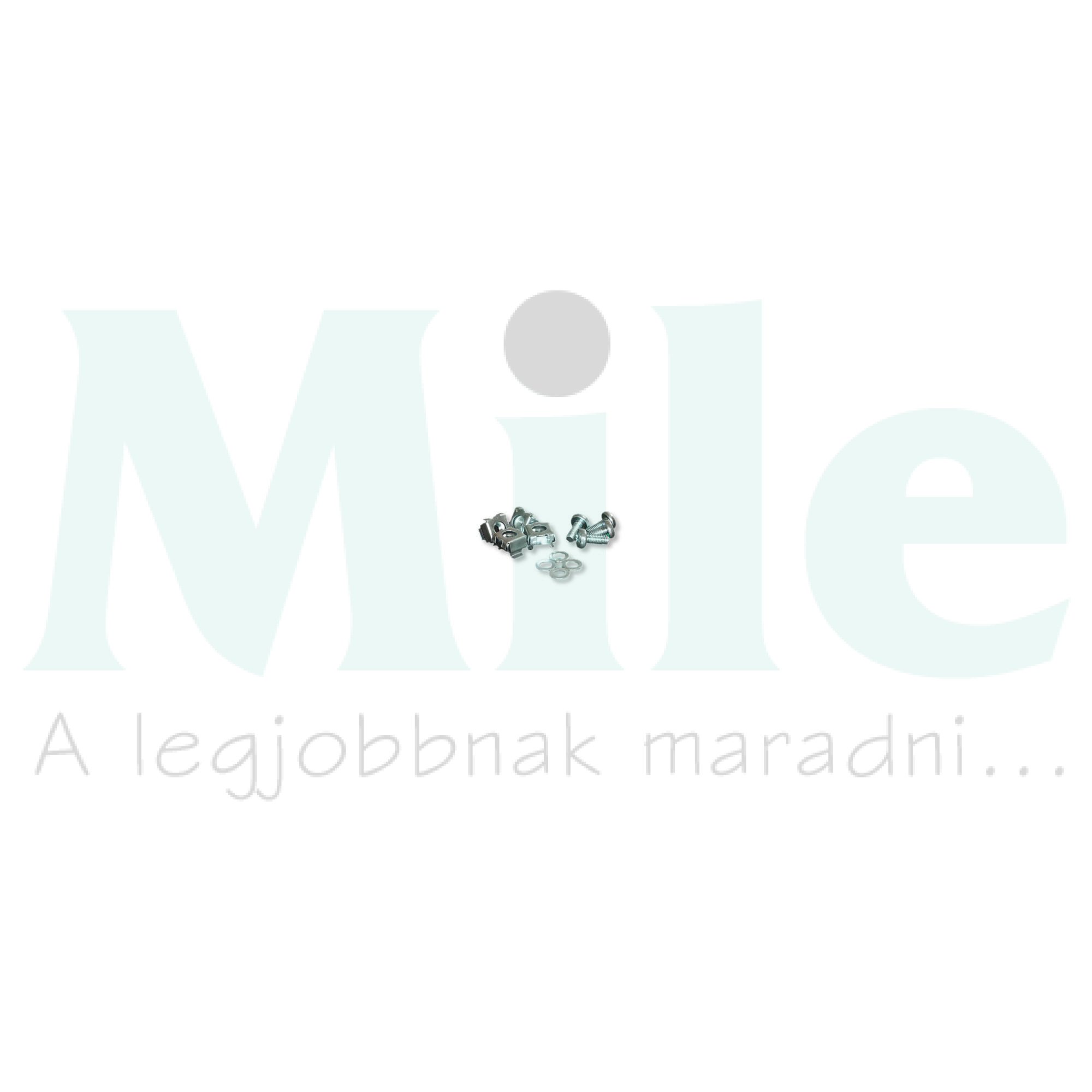 Rögzítőkészlet M6 kalickás anya 4db/csomag ASSMANN