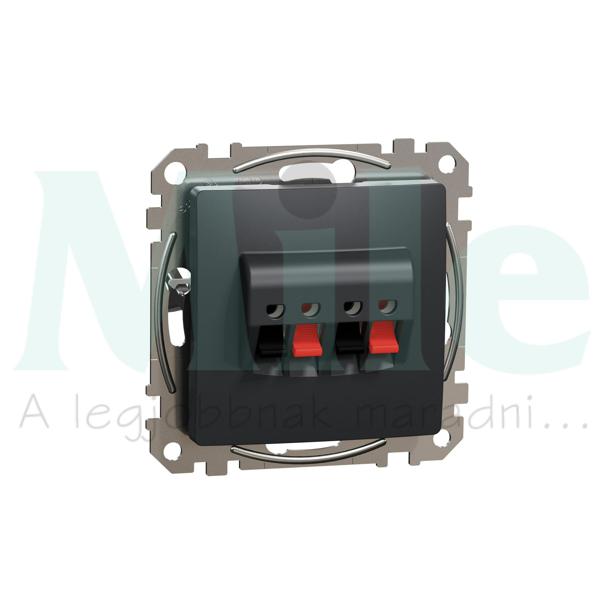 SednaÚj hangfalcsatlakozó rugófeszítéses dupla sztereó 2xRJ45 lakkozott fényes antracit Schneider