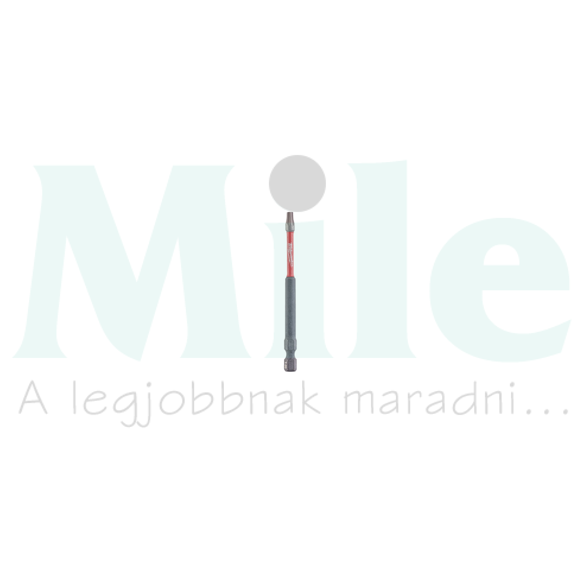 Bit betét hosszított Torx 20(TX) 90mm-hossz 1/4