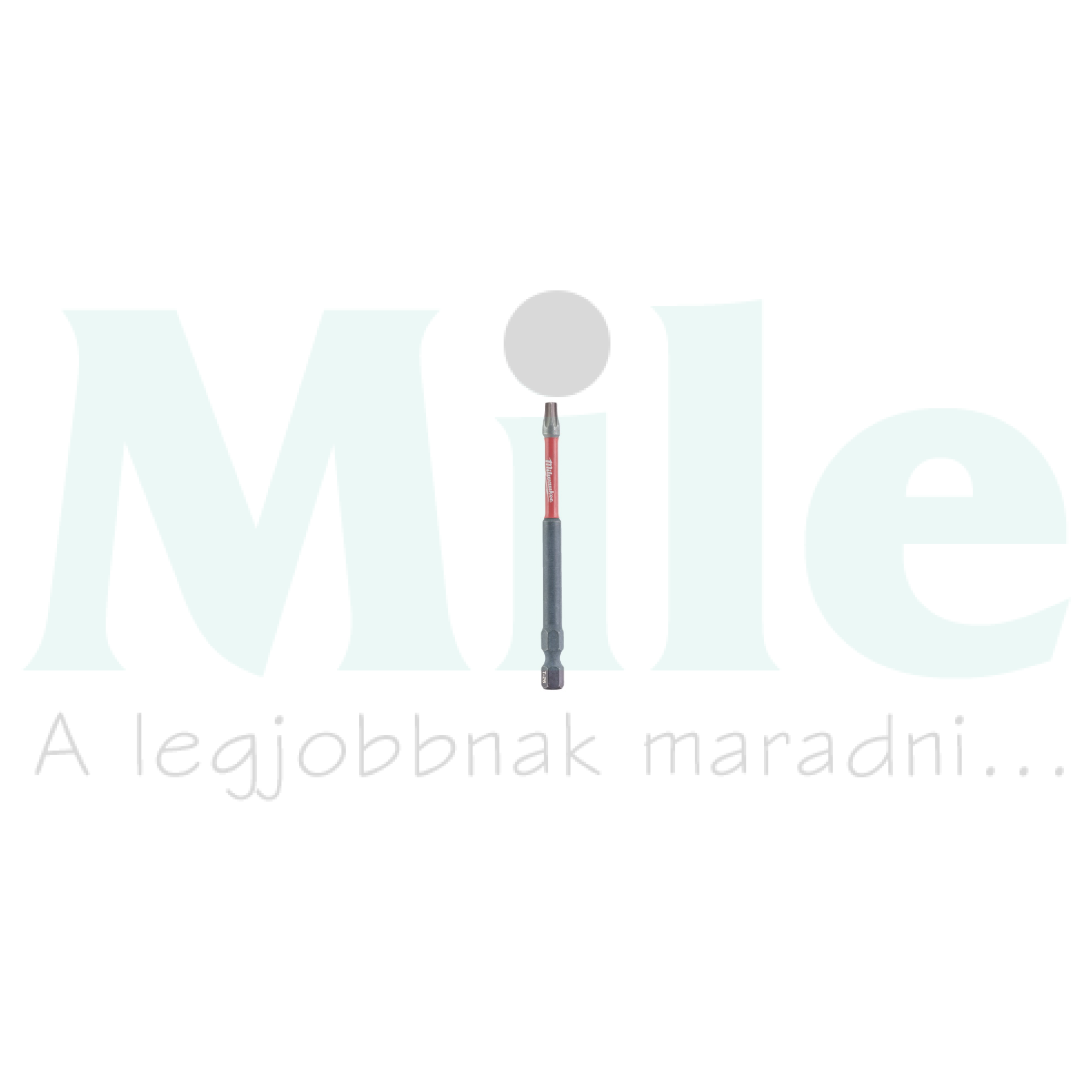 Bit betét hosszított Torx 25(TX) 90mm-hossz 1/4