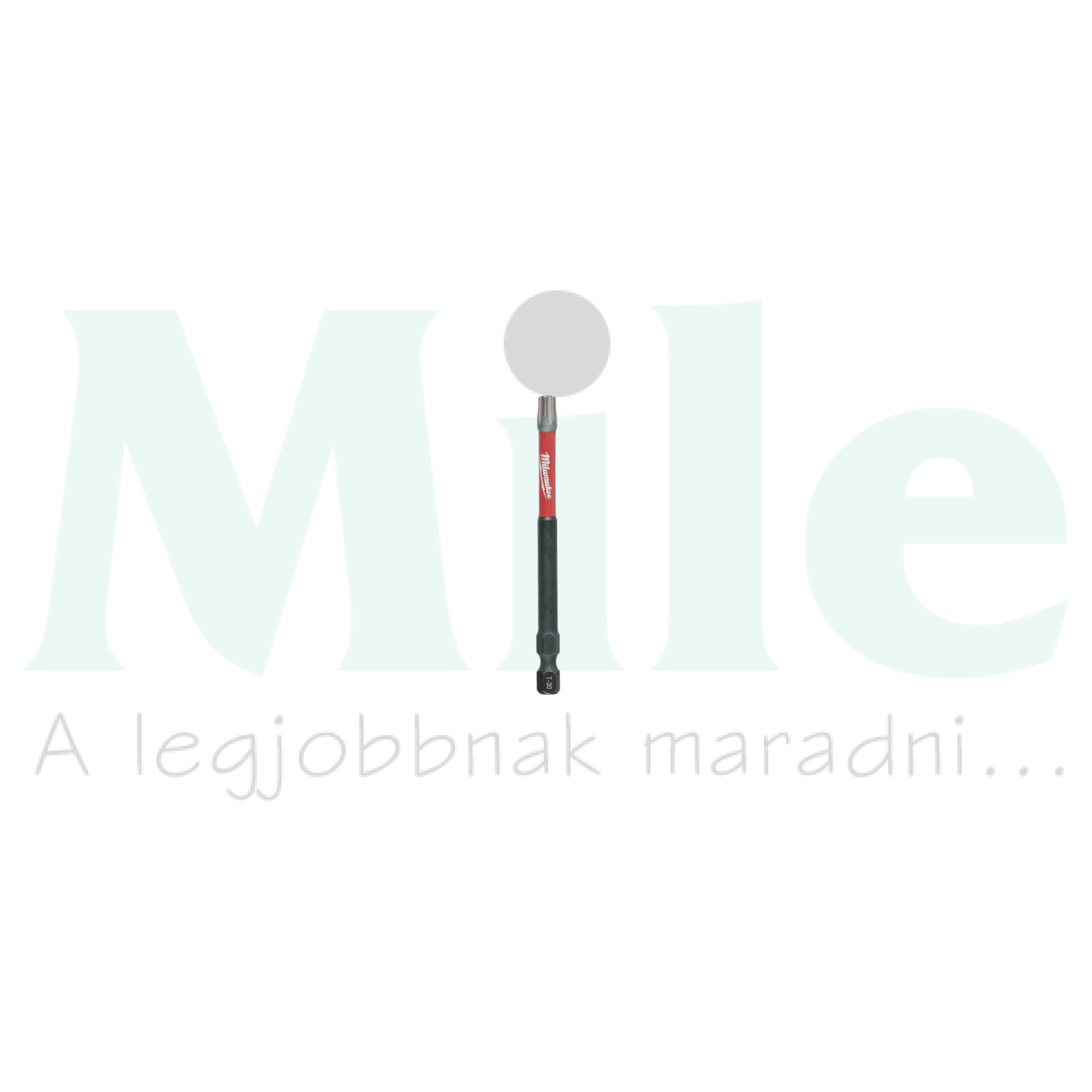 Bit betét hosszított Torx 30(TX) 90mm-hossz 1/4