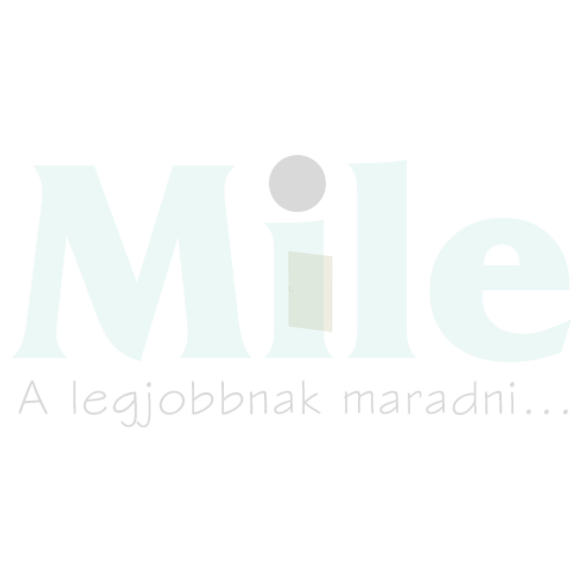 Ajtó kiselosztóhoz SIMBOX SIEMENS