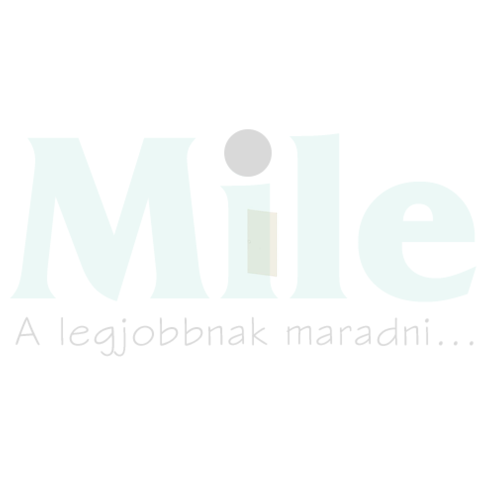 Ajtó kiselosztóhoz SIMBOX SIEMENS