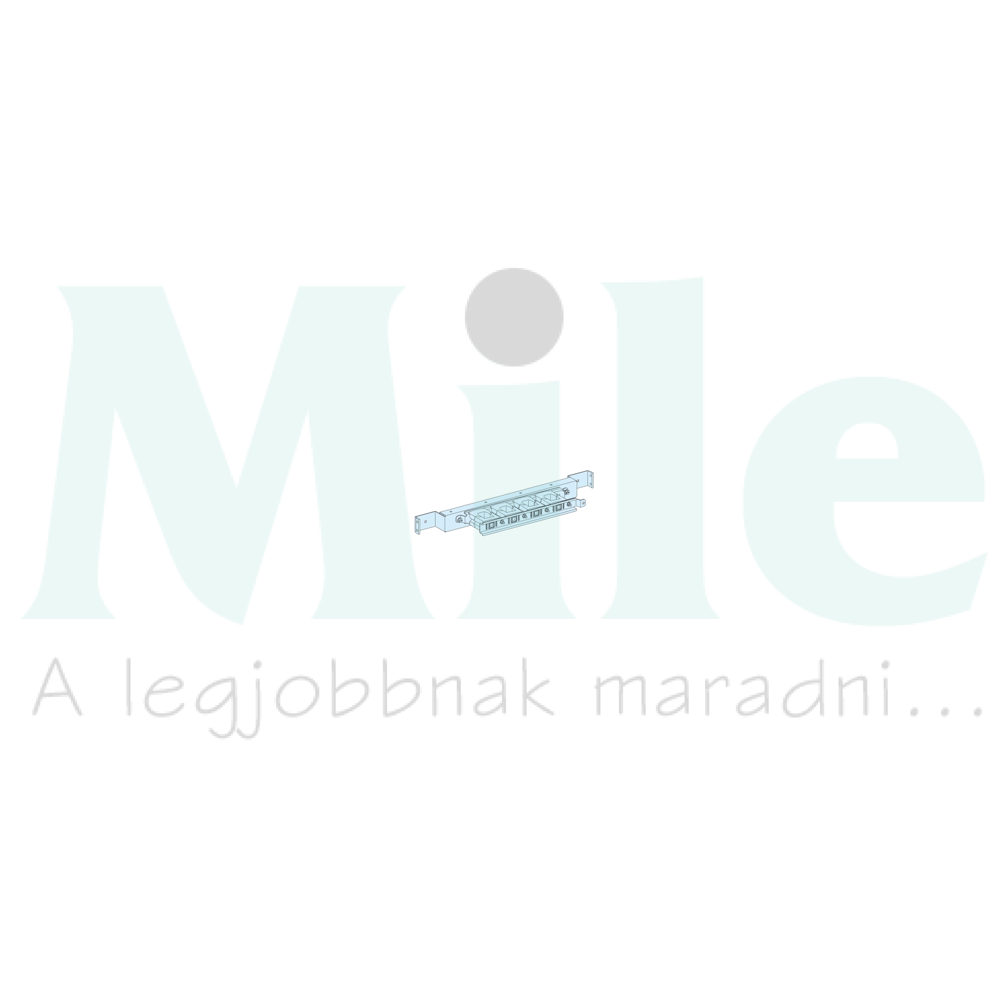 Síntartó hátsó LinergyLGY 4-pólus 1600A 650mm-síntáv Prisma P Schneider