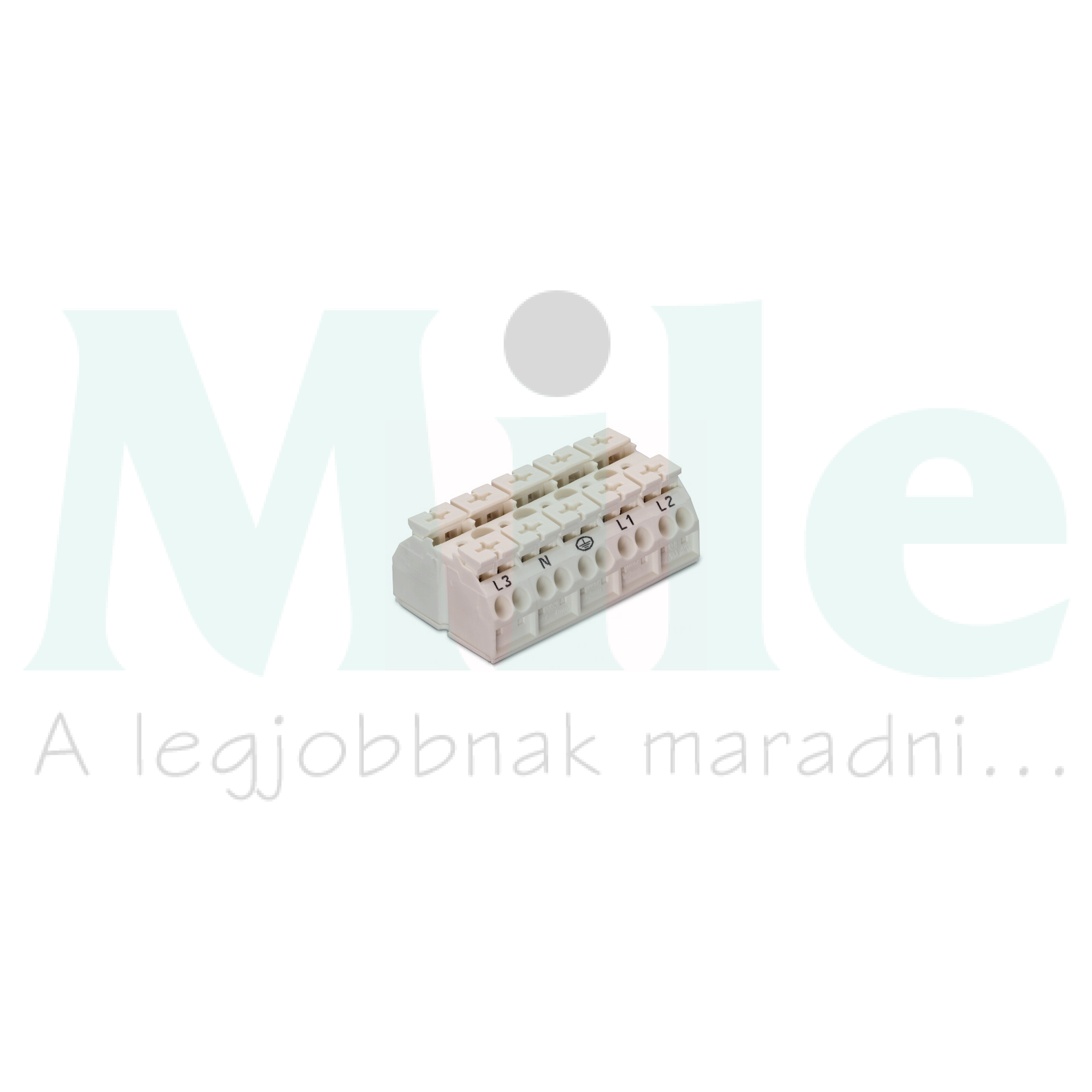 Sorkapocsblokk L3+N+PE-L1+L2 4mm2 fehér 5P csavaros 5csatl./<6mm2 WAGO