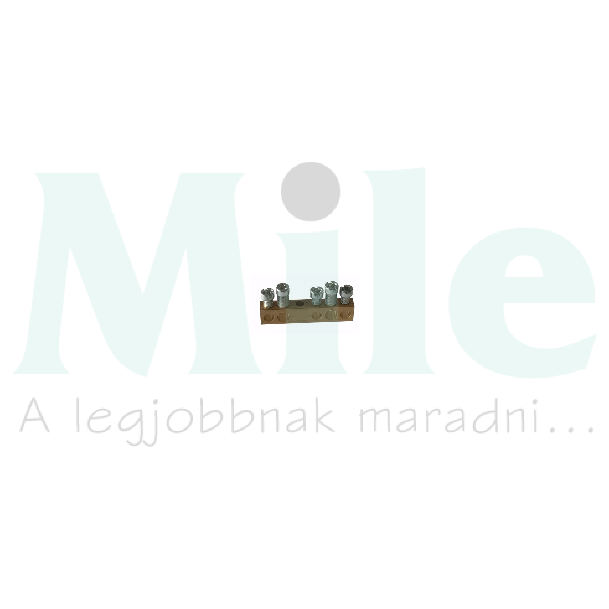 Sorkapocssín PE szigeteletlen 2x16+3x10mm2 6kA réz kezeletlen PractiboxS LEGRAND