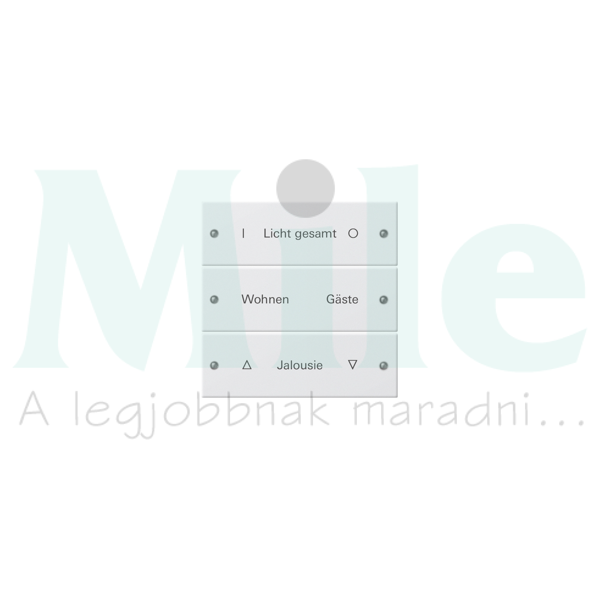 ST55 KNX billentyűkészlet 3pár=6gomb/1modul +feliratmező fehér GIRA