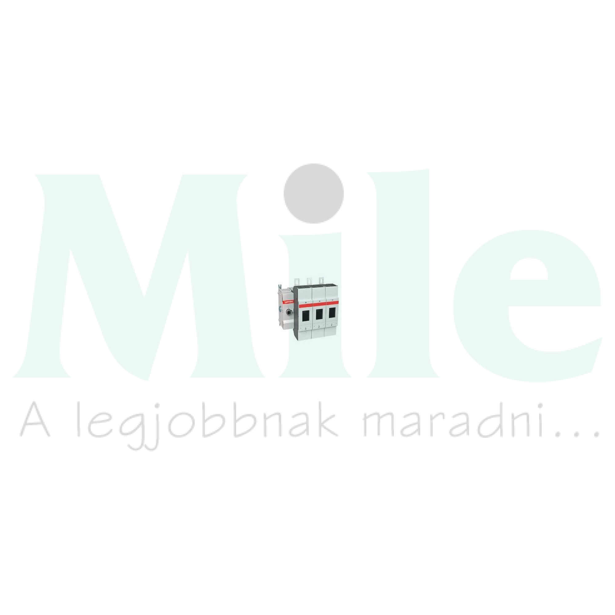 Szakaszoló be-ki kapcsoló 200A 3P M200E03 MERSEN