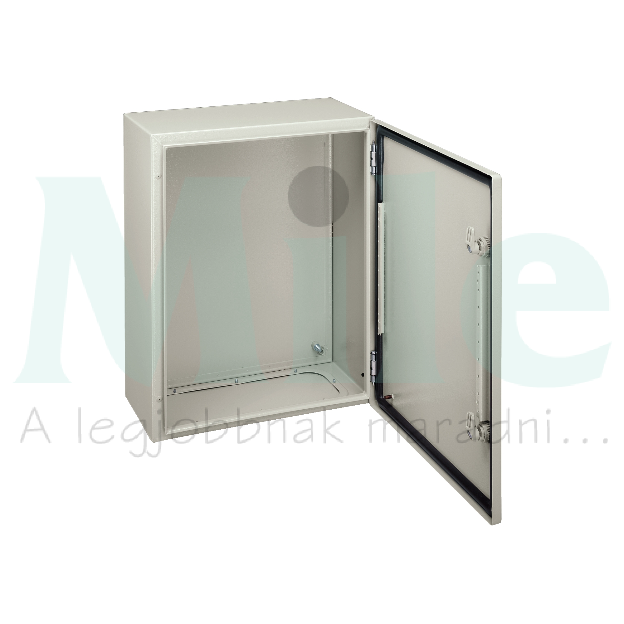 Szekrény fali teli ajtós szerelőlappal acél 250mm x 200mm x 150mm IP66 Spacial CRN Schneider