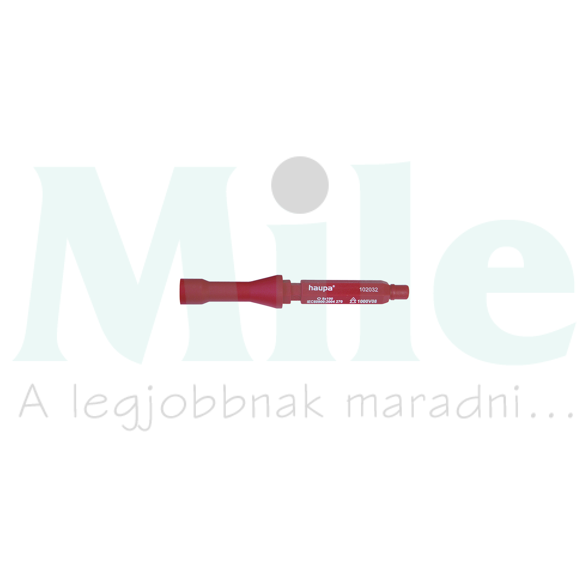 Szekrénykulcs 6 négyzetprofilú Vario Haupa