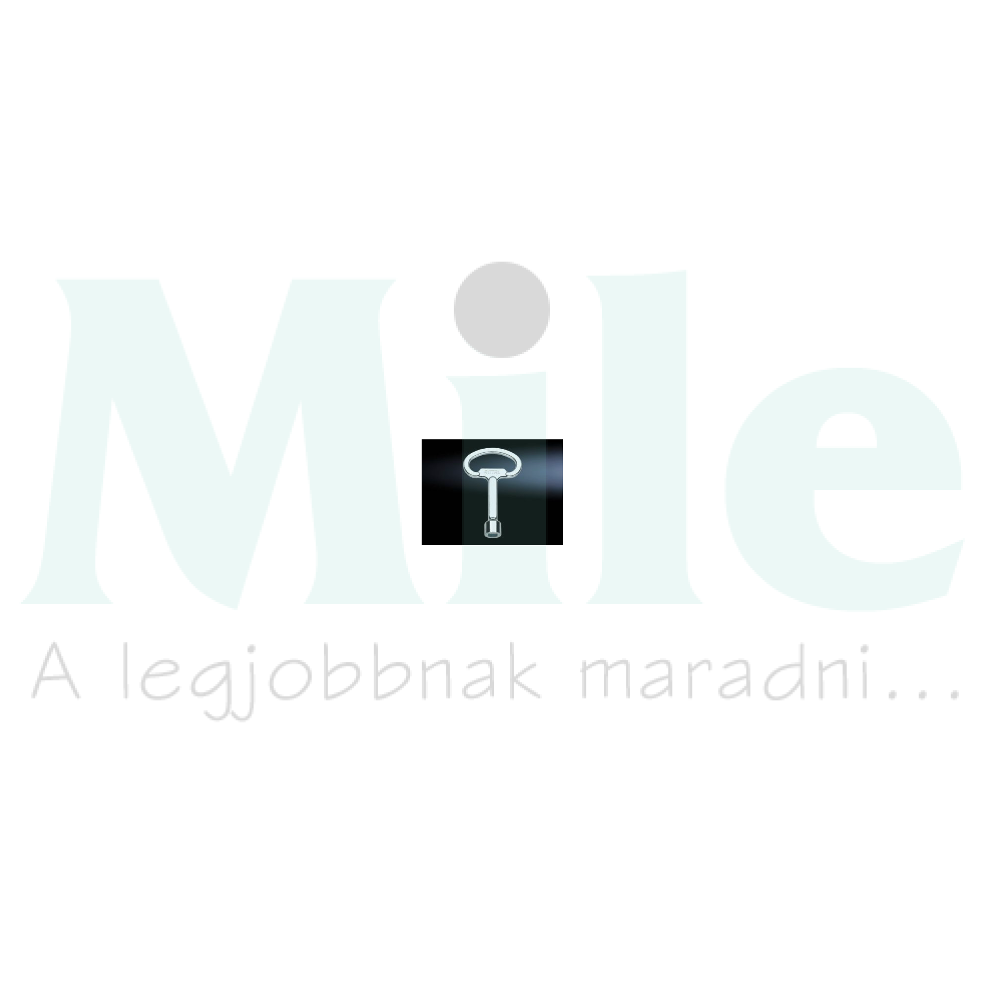 Szekrénykulcs kéttollú SZ Rittal