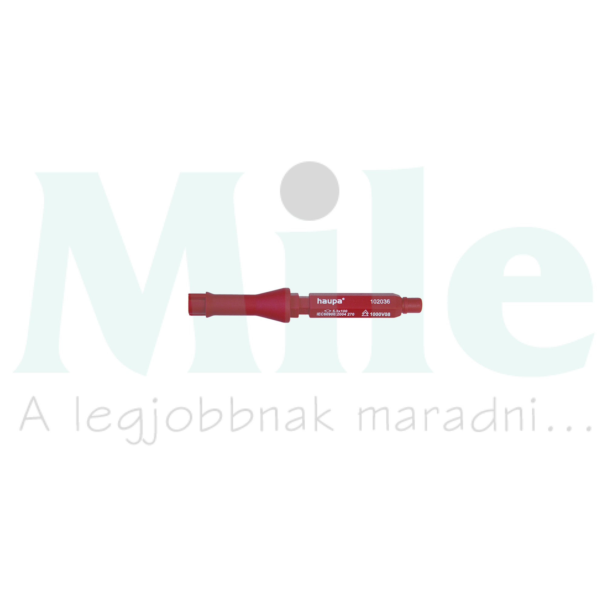 Szekrénykulcs kéttollú Vario Haupa