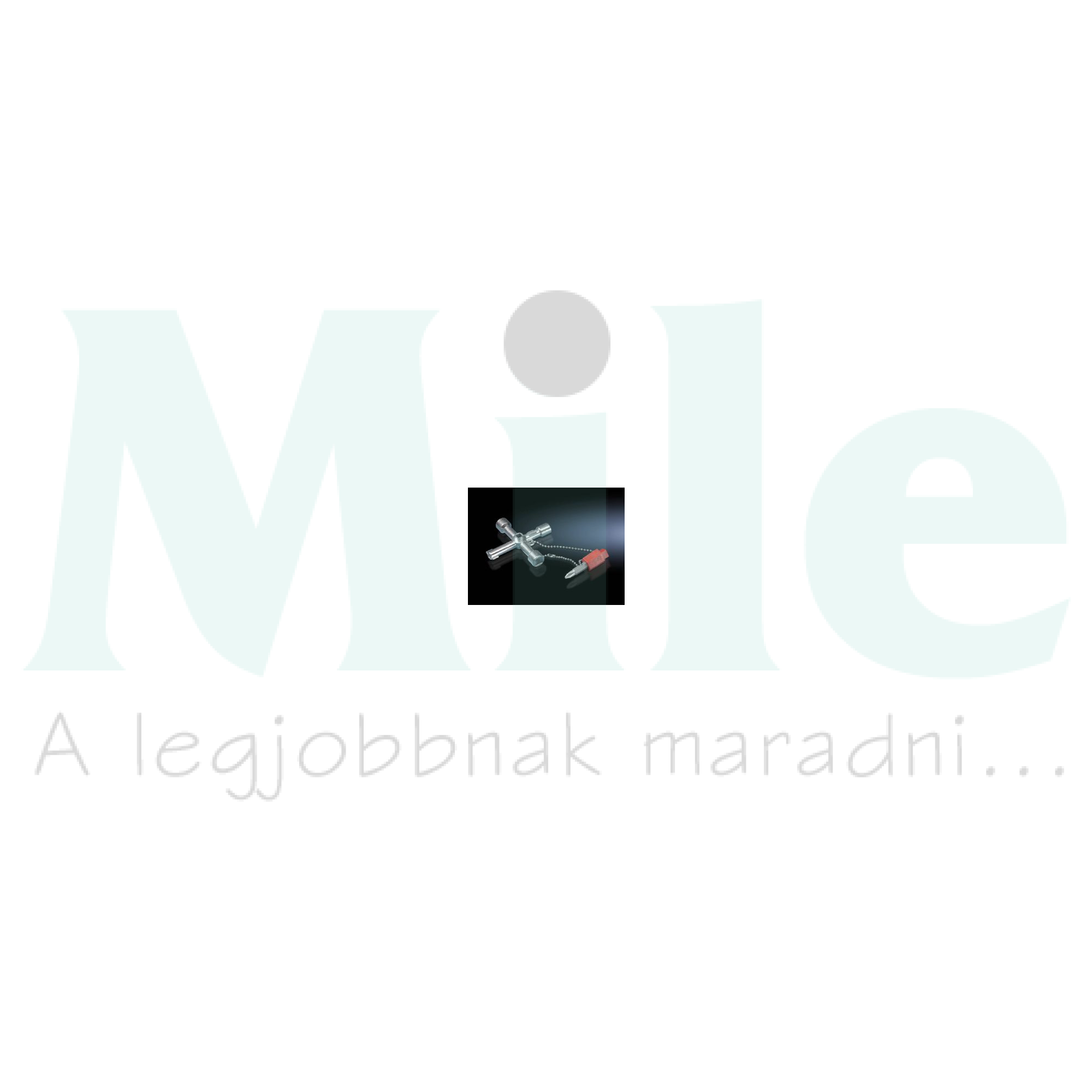 Szekrénykulcs univerzális kéttollú SZ Rittal