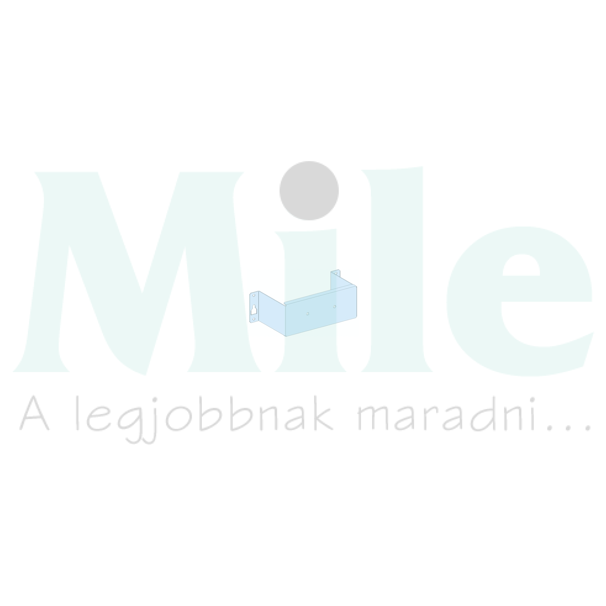 Szerelőlap kábelcsatornába függőleges ISFT160-hez acél 150mm-ma 300mm-sz Prisma G Schneider