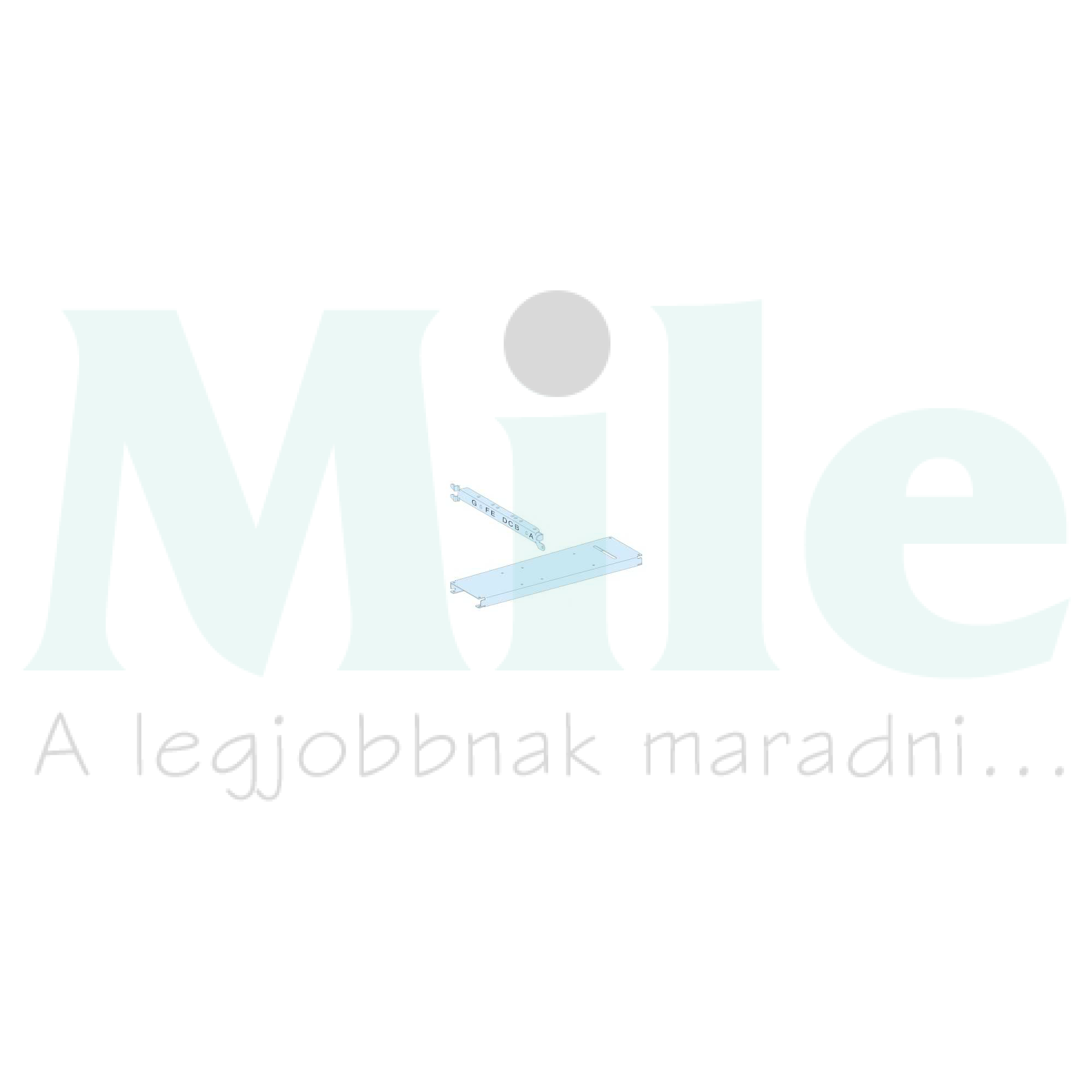 Szerelőlemez függőleges fix 3/4P NT16-hoz acél 30mm-ma 650mm-sz Prisma P Schneider