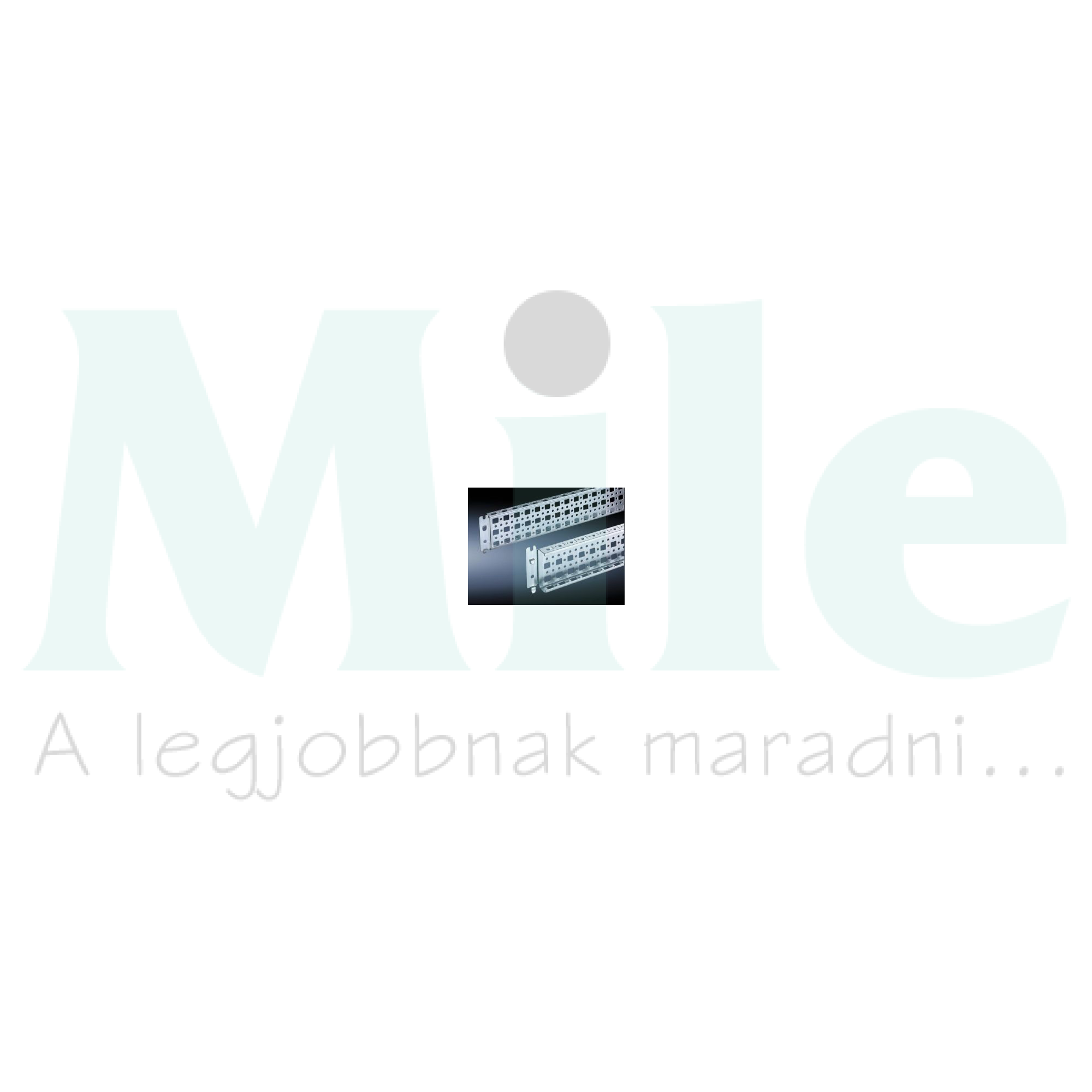 Szerelőprofil 23x73mm horganyzott acél 800mm TS/SE-hez SZ Rittal