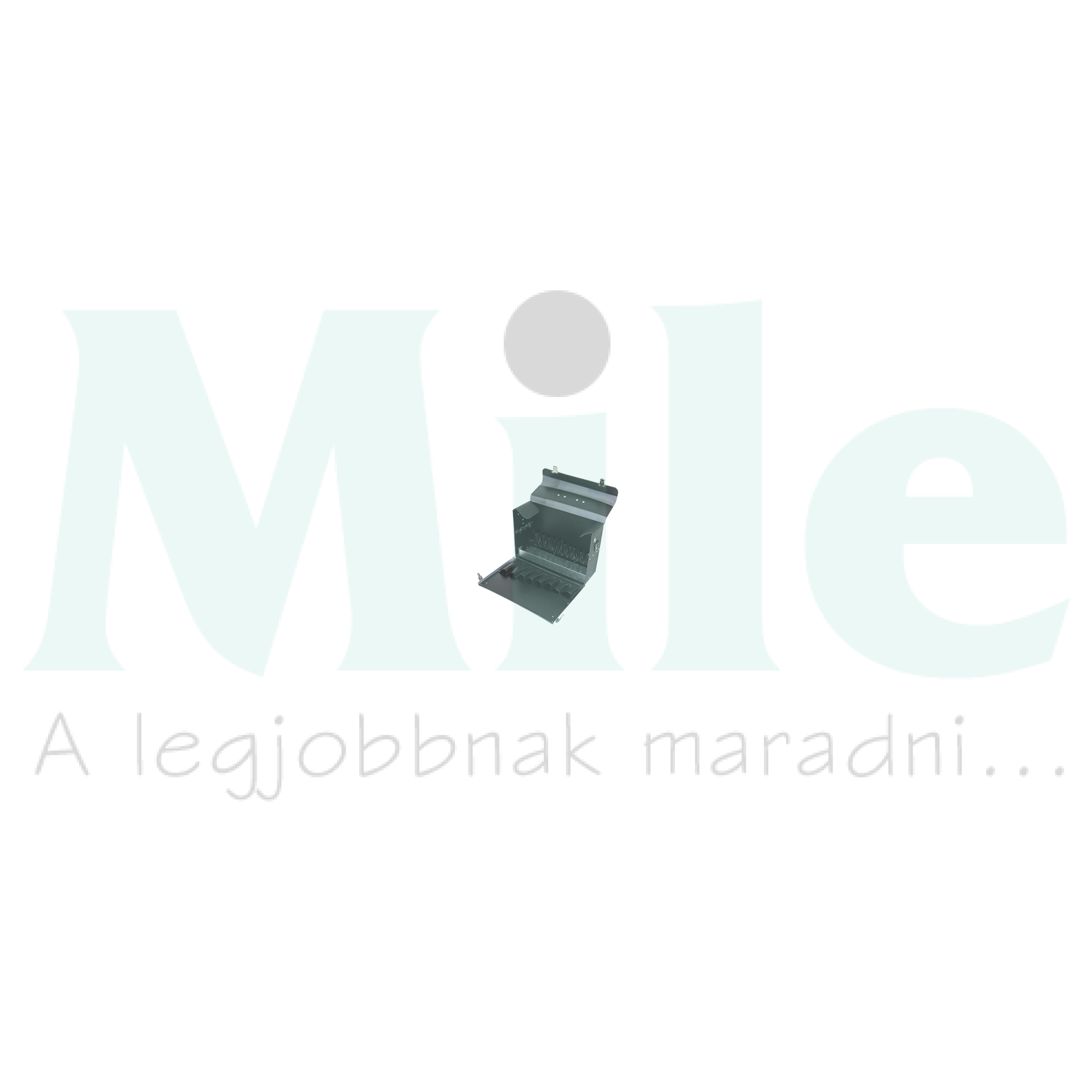 Szerszámkoffer üres csomag bőr 250mmx 365mmx 150mm FAVORIT Haupa