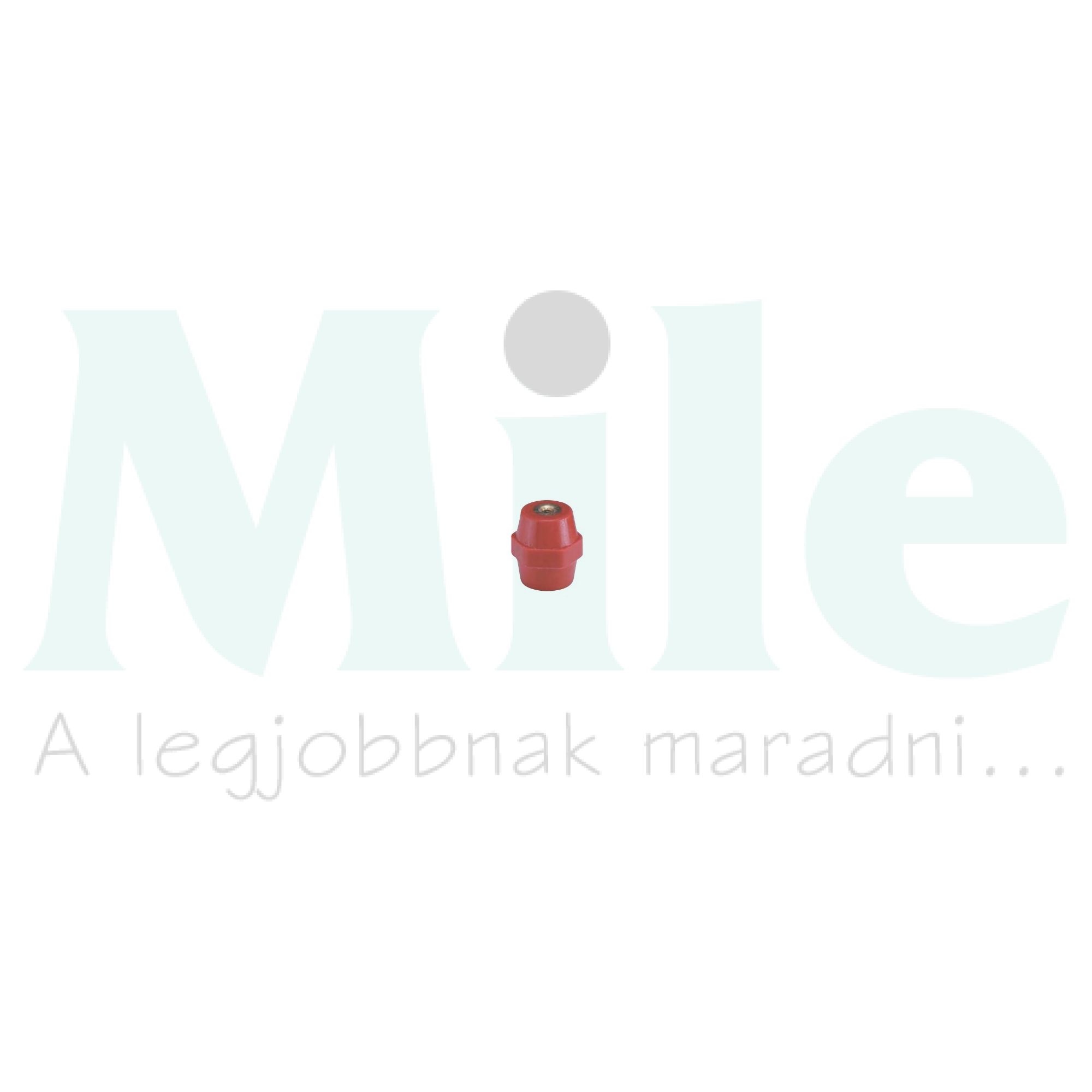 Támszigetelő 50mm M10 hatlap 1-pólus SOCOMEC