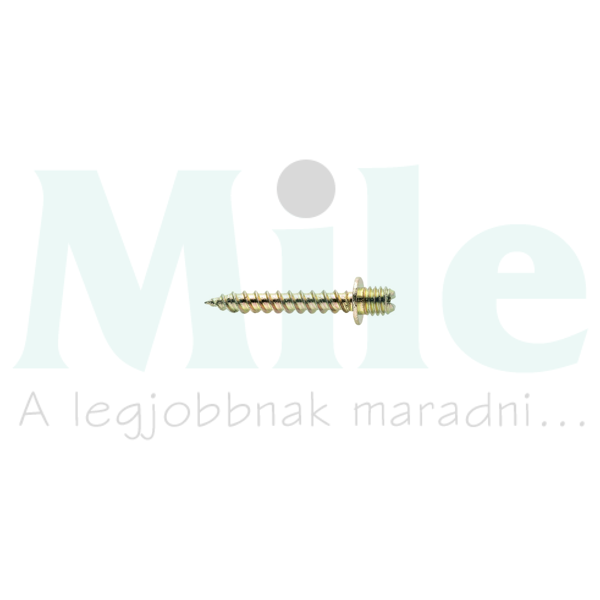 Ászokcsavar kétirányú tűzálló/funkciómegtartó M6x44mm acél Torx TF Tirafondo CELO
