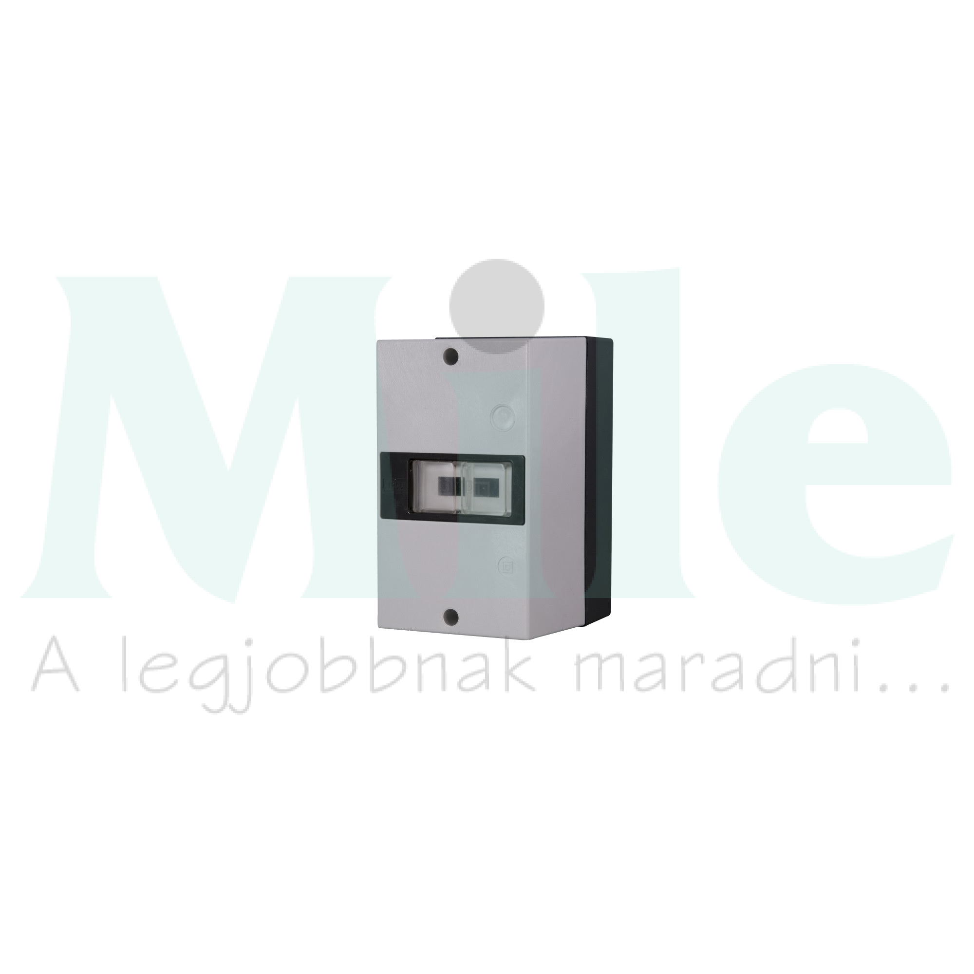 Tokozat motorvédő kapcsolóhoz falonkívüli IP55  MS25 Iskra