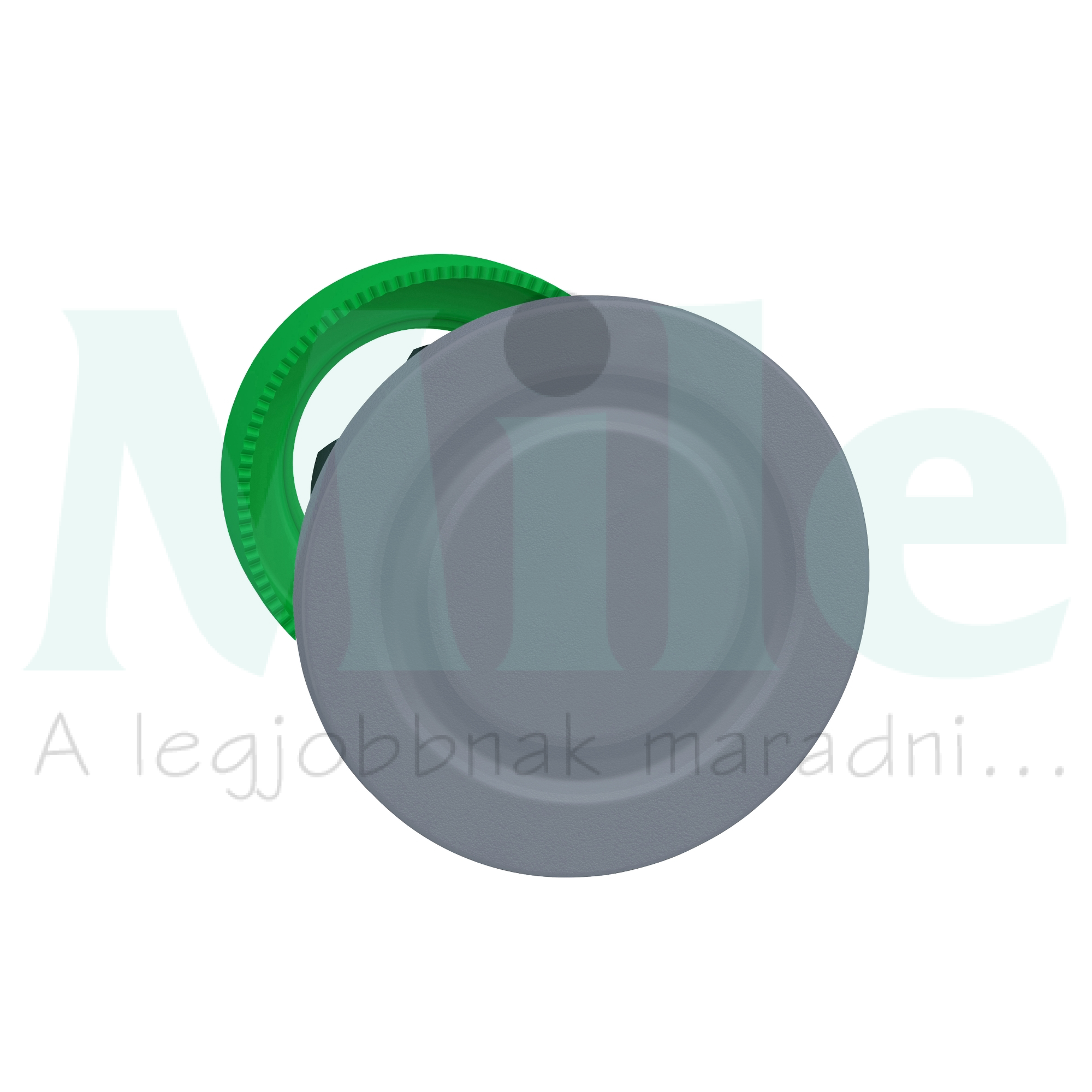 Vakdugó d30 szürke Harmony XB5 Schneider