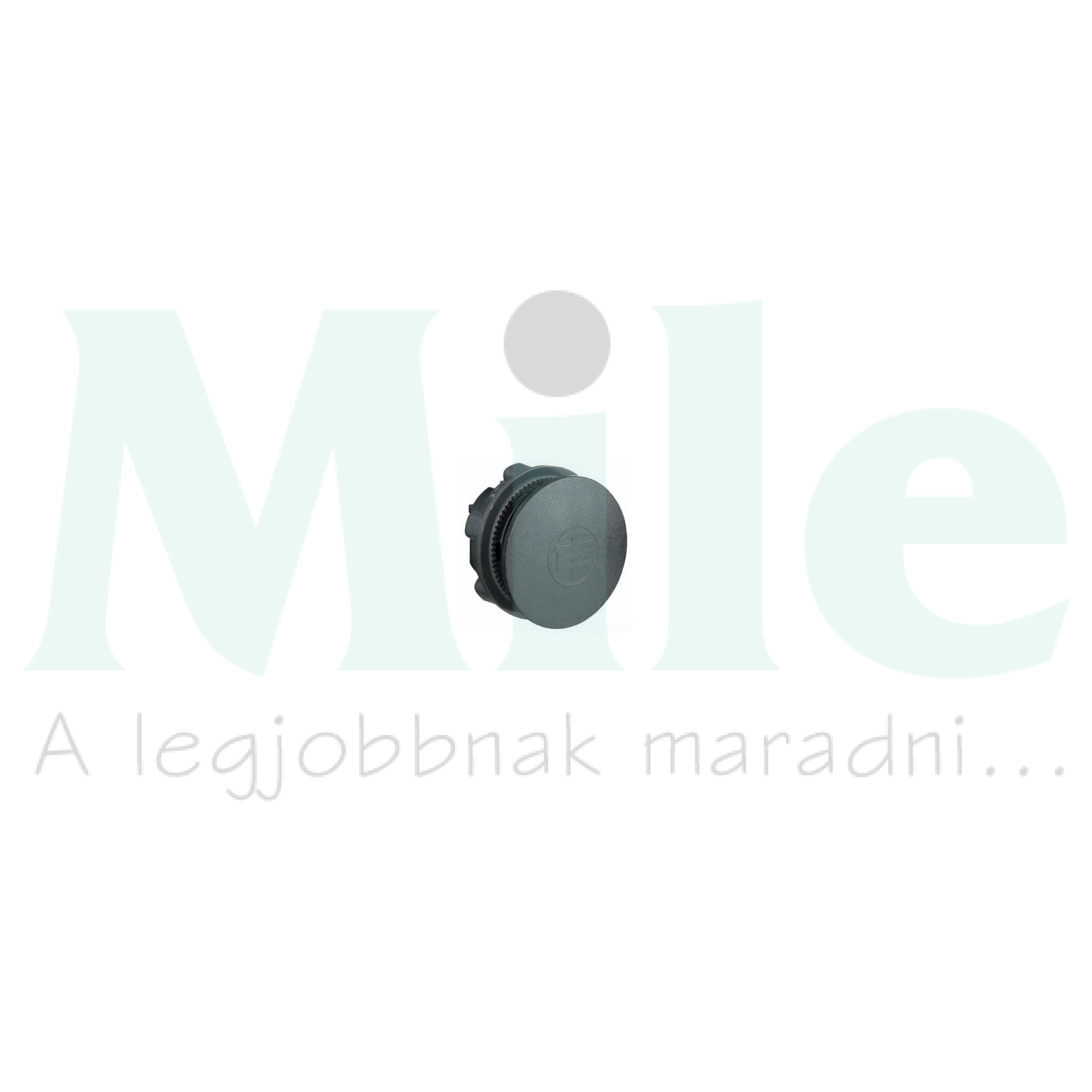 Vakdugó X(A)(B)2B-hez fém 22.5mm-átmérő kerek Harmony XB2/XA2 Schneider