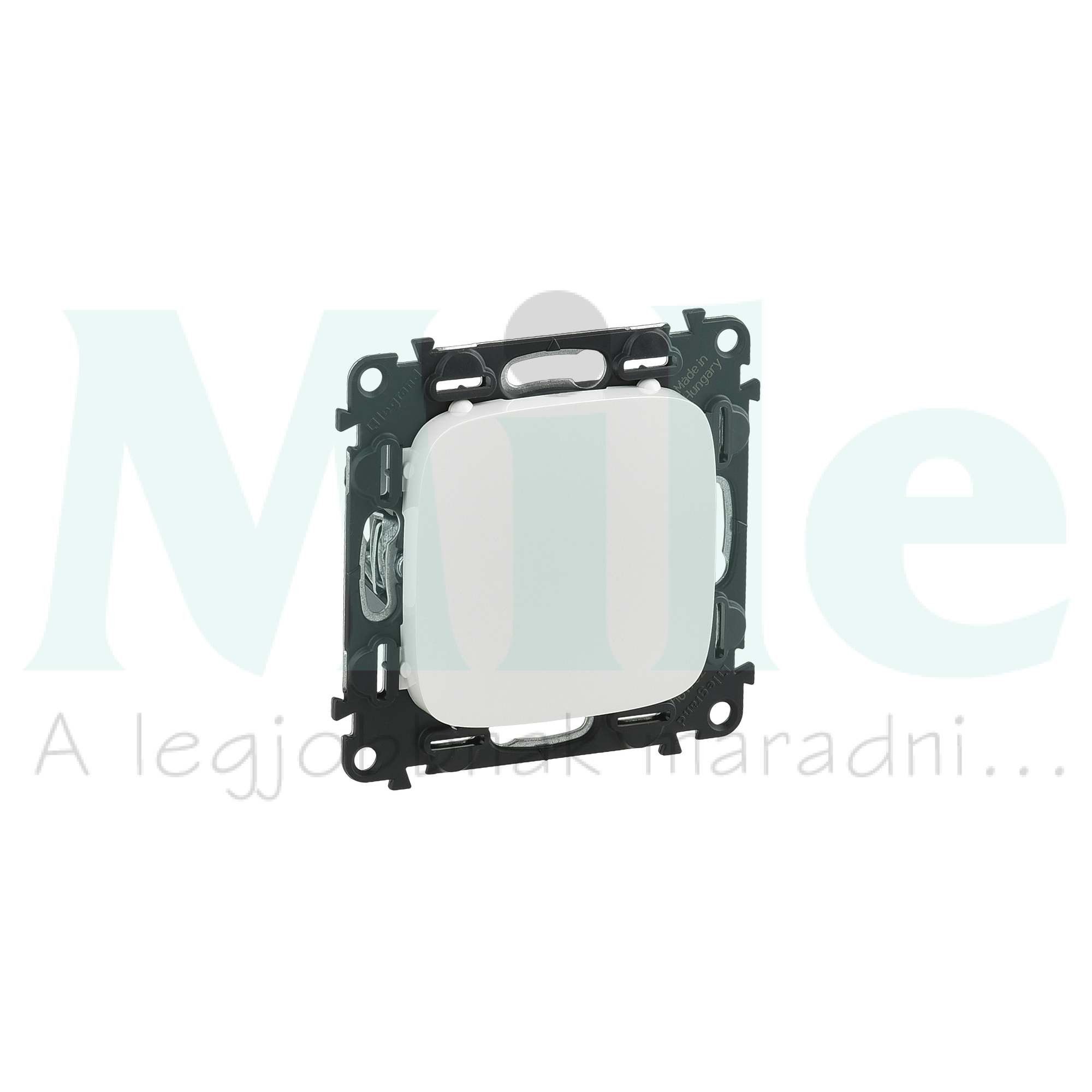 ValenaAllure vakfedél vakfedél fehér üres-jel műanyag LEGRAND