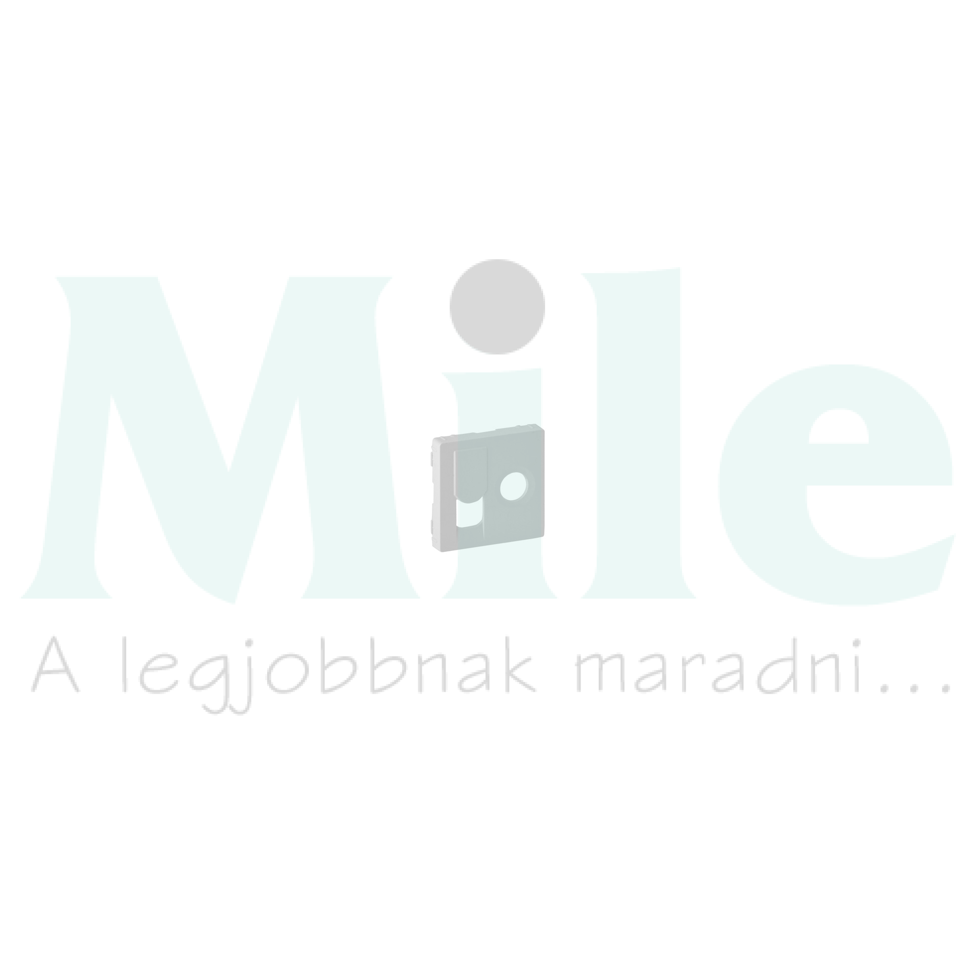 ValenaLife adatcsatlakozó dugalj TV + UTP RJ45 8(8) Cat6 süllyesztett fehér bepattintás LEGRAND