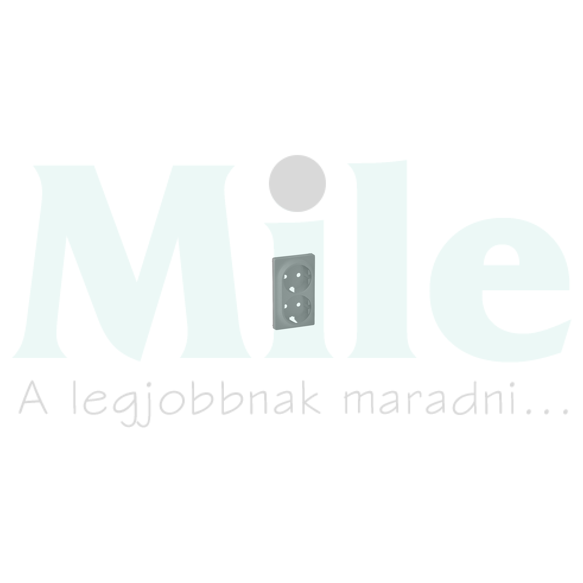 ValenaLife fedlap 162/2 dugaljhoz alumínium  LEGRAND