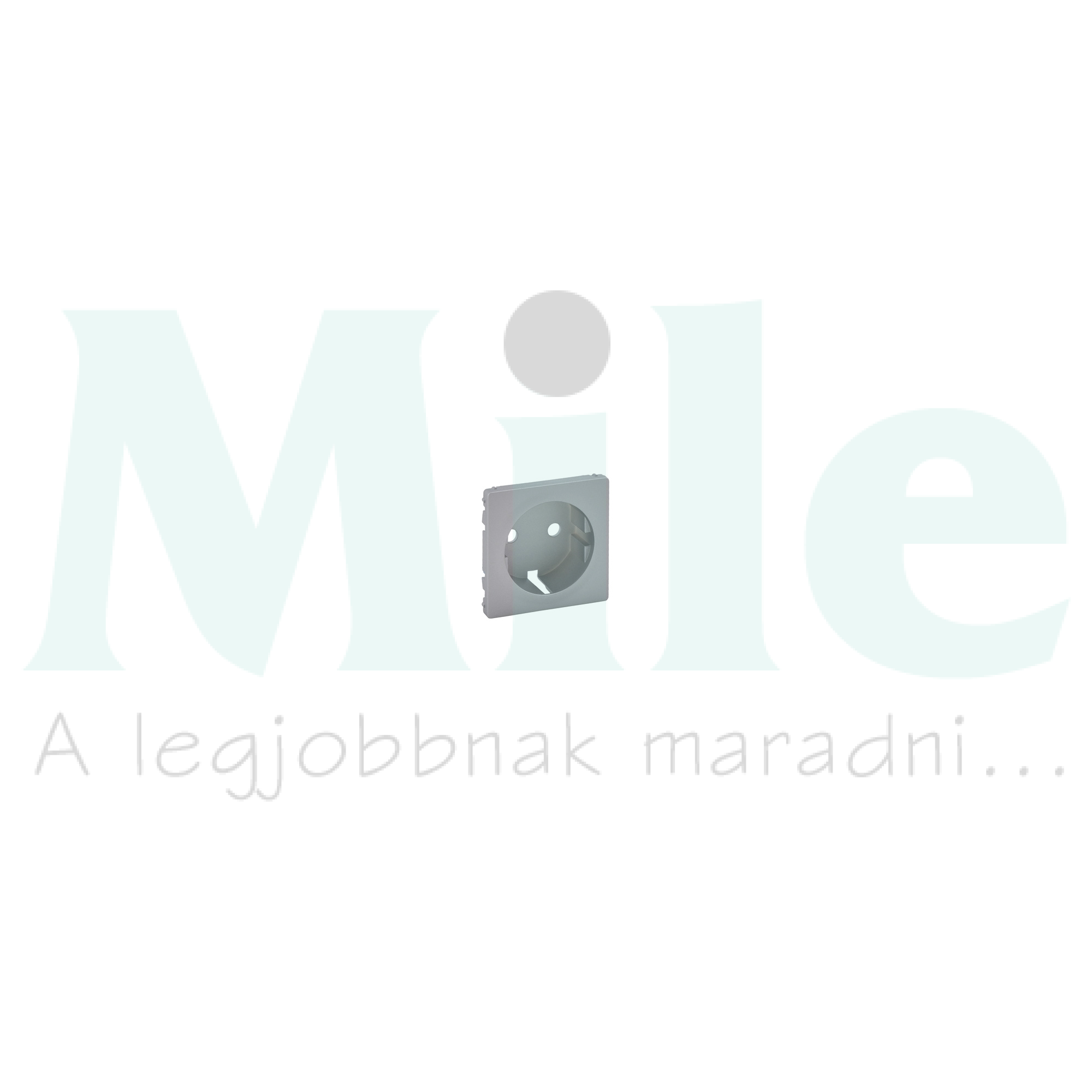 ValenaLife fedlap 162 dugaljhoz alumínium  LEGRAND